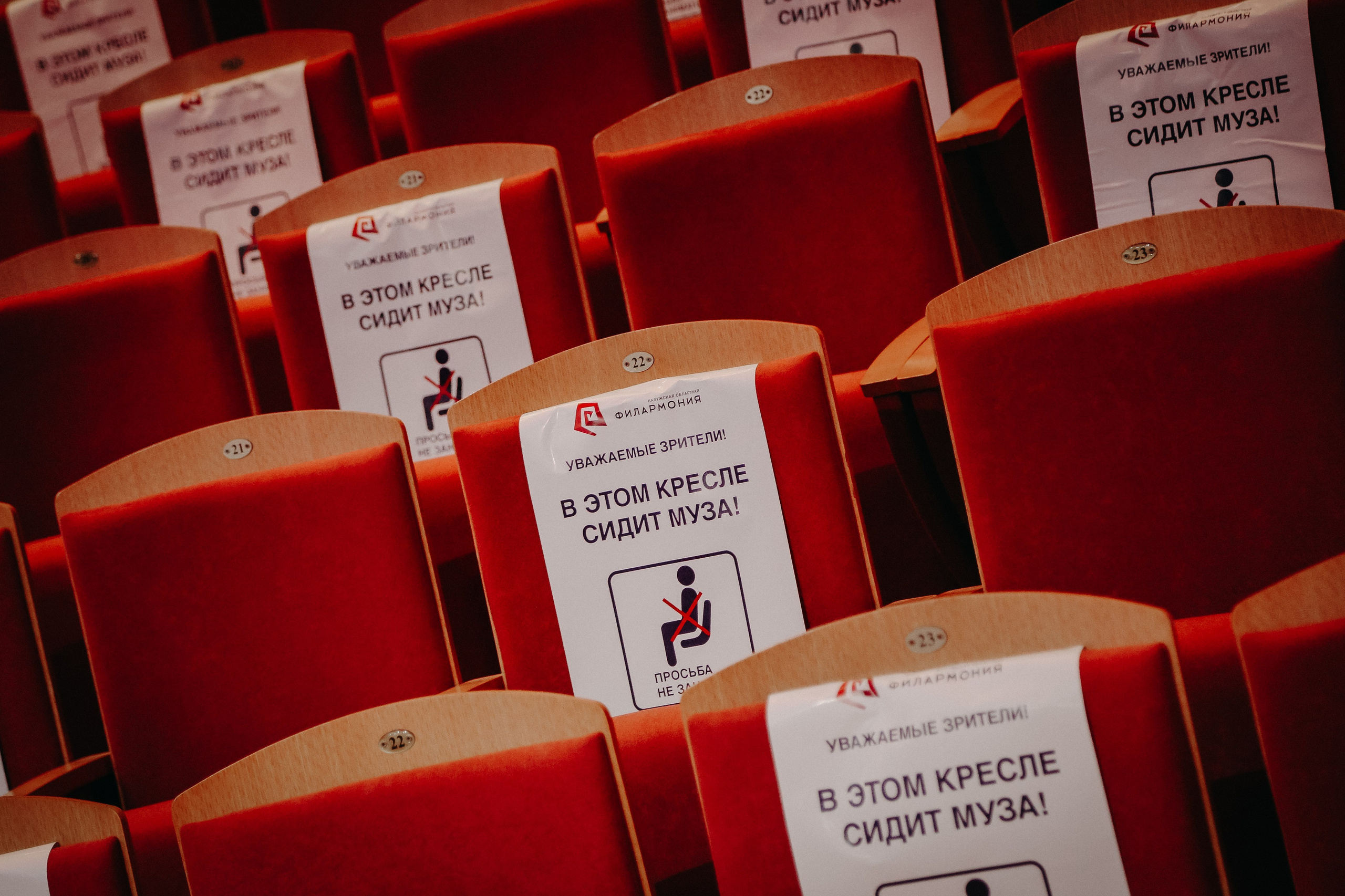 Концерт музыки Бетховена в Калужской филармонии. Дарья Письменюк / Darya Leitstern — фотограф, музыкант, журналист, путешественник