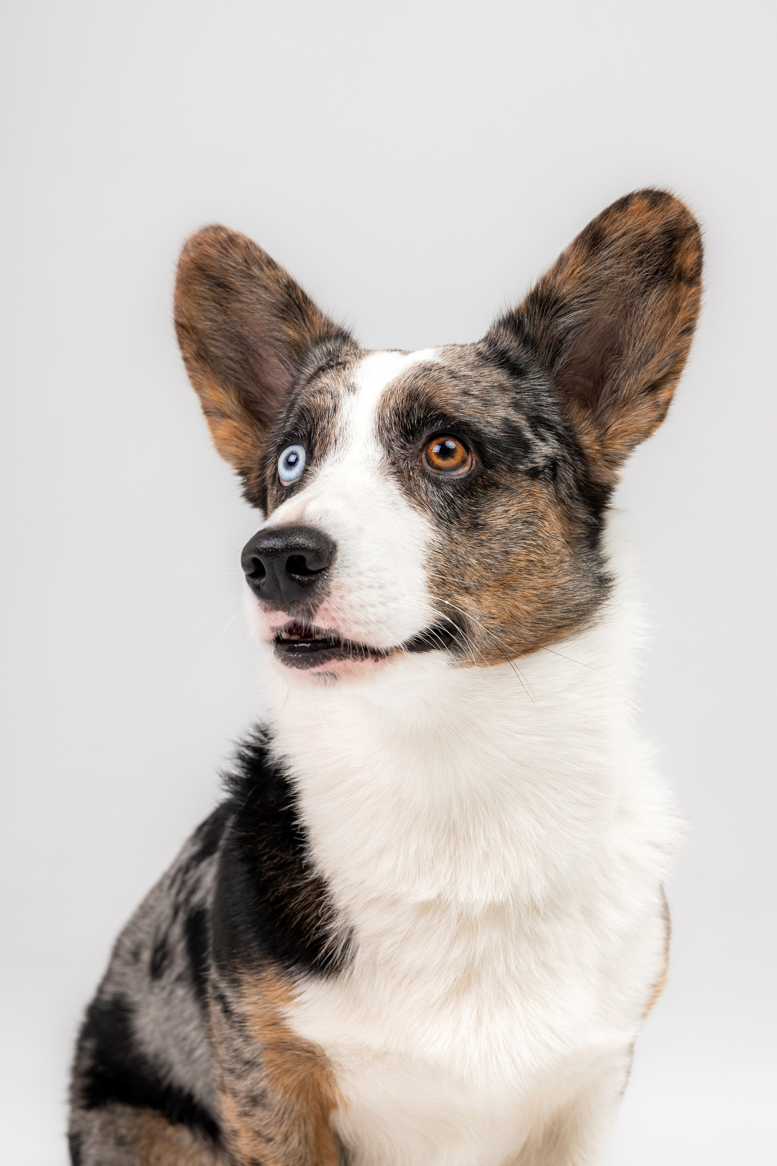 Анатолий и Рагнар