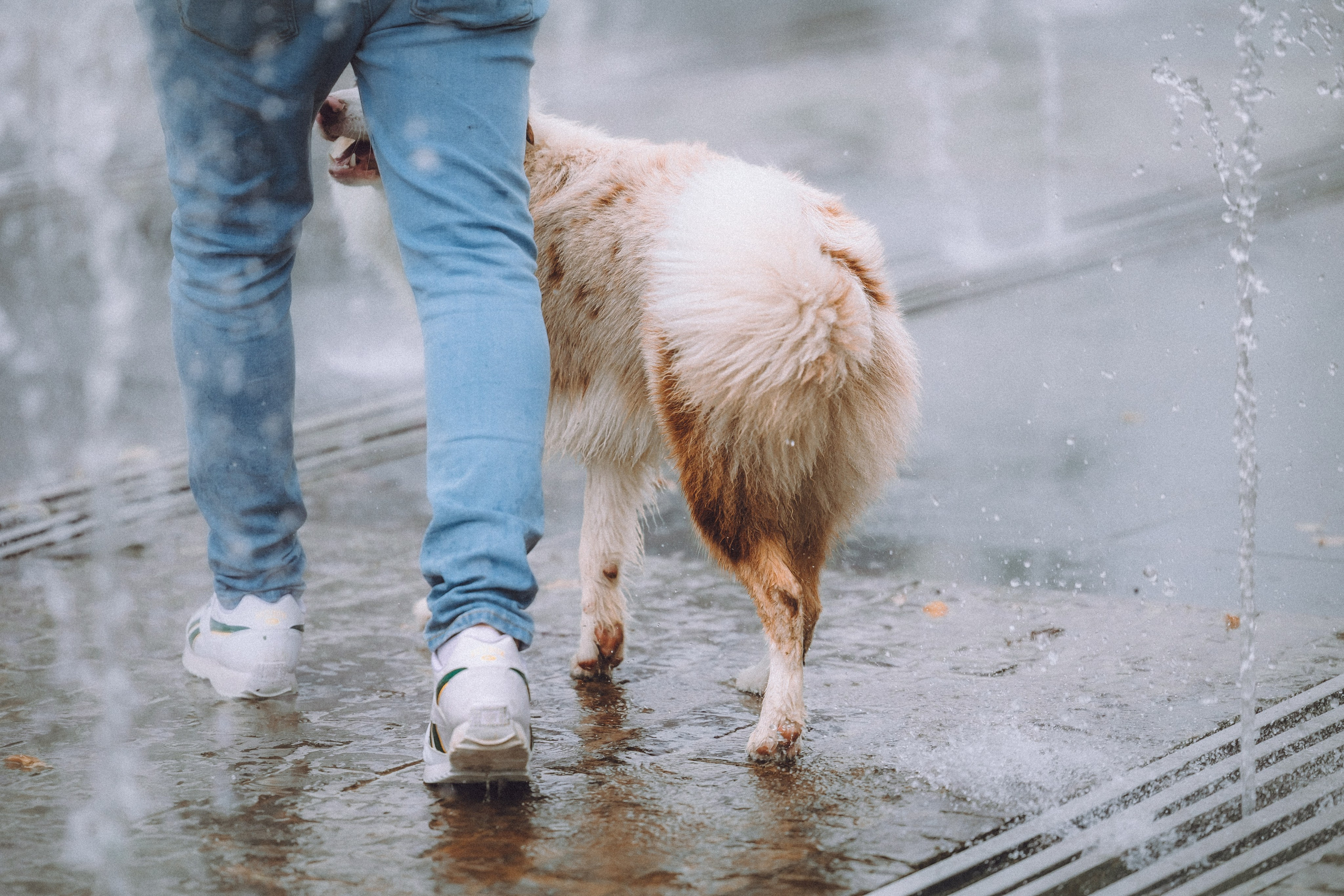 Один и его семья