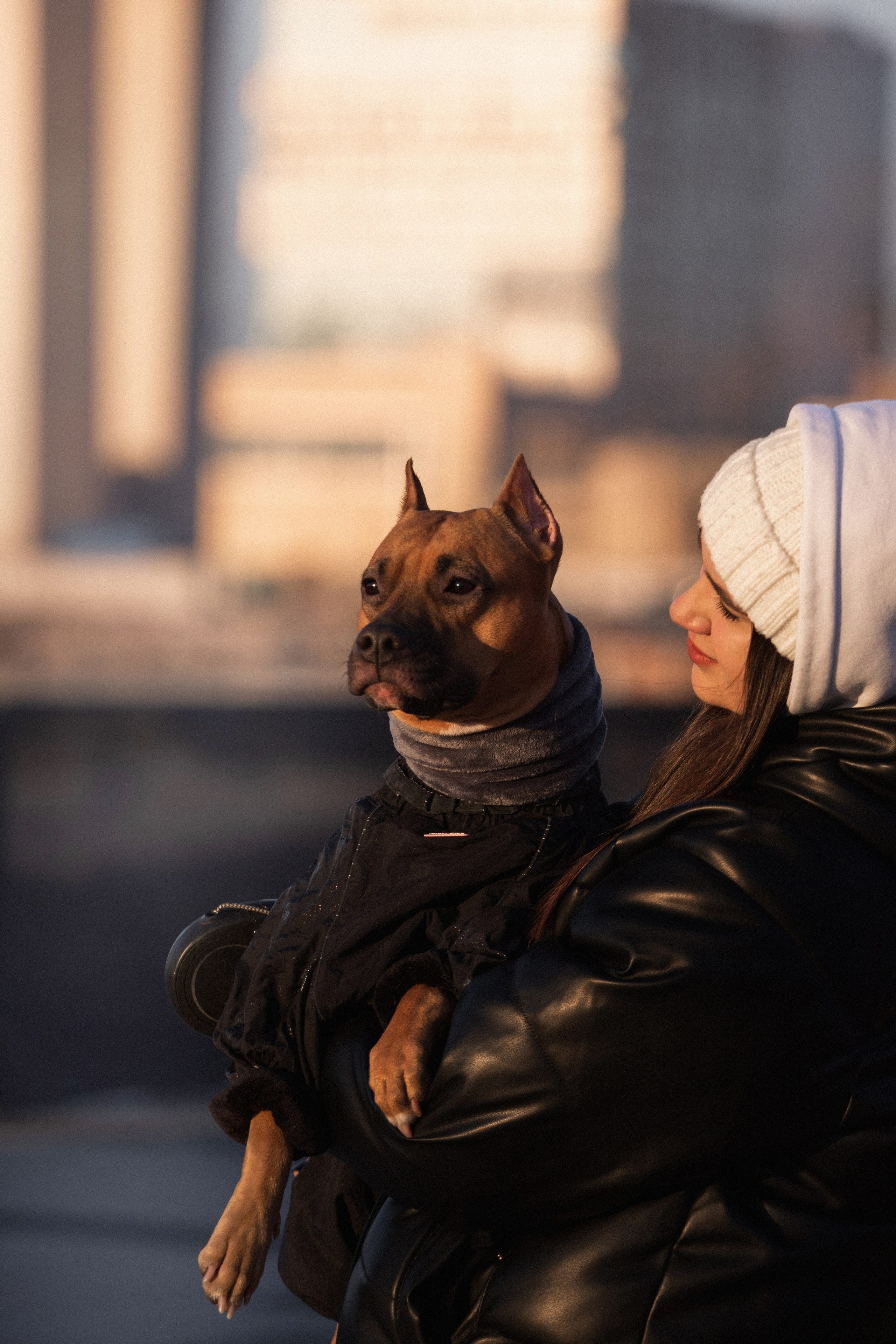 Арина и Стэфи. Фотограф — анималист Владивосток, Алина