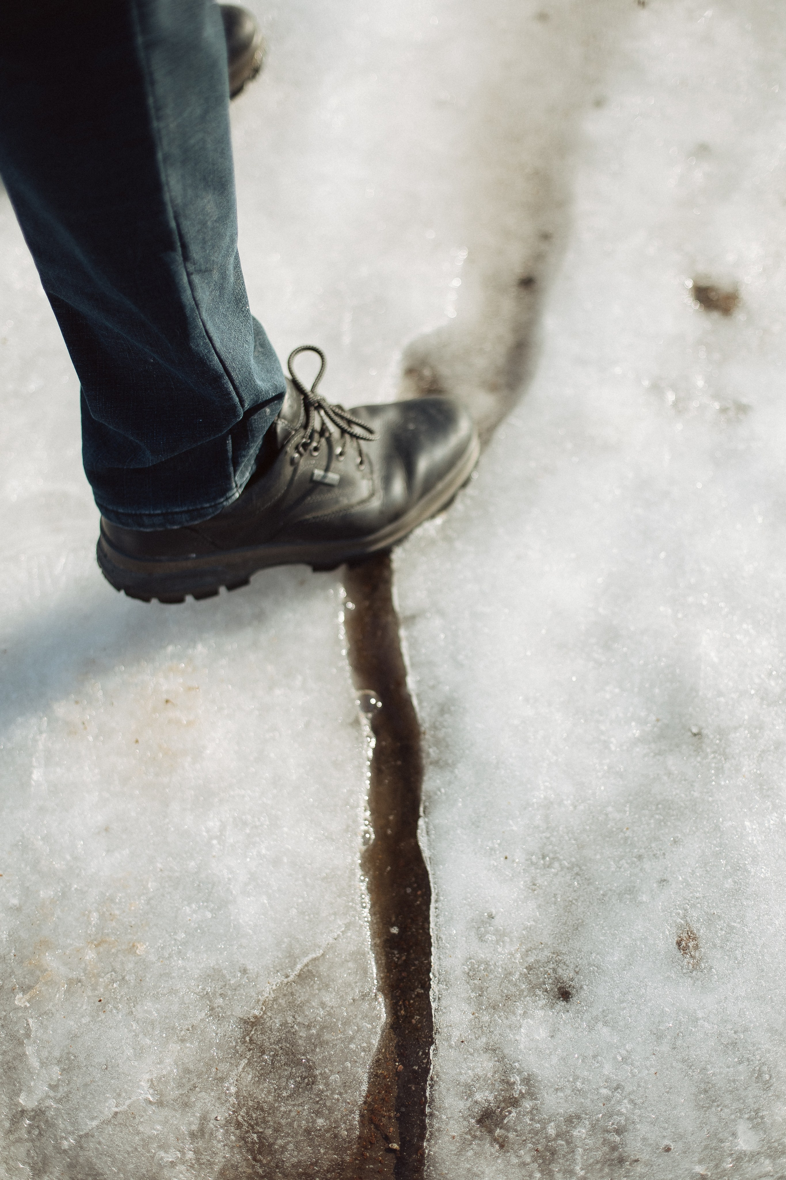 Экопарк ПОЛЯНЫ. Главная