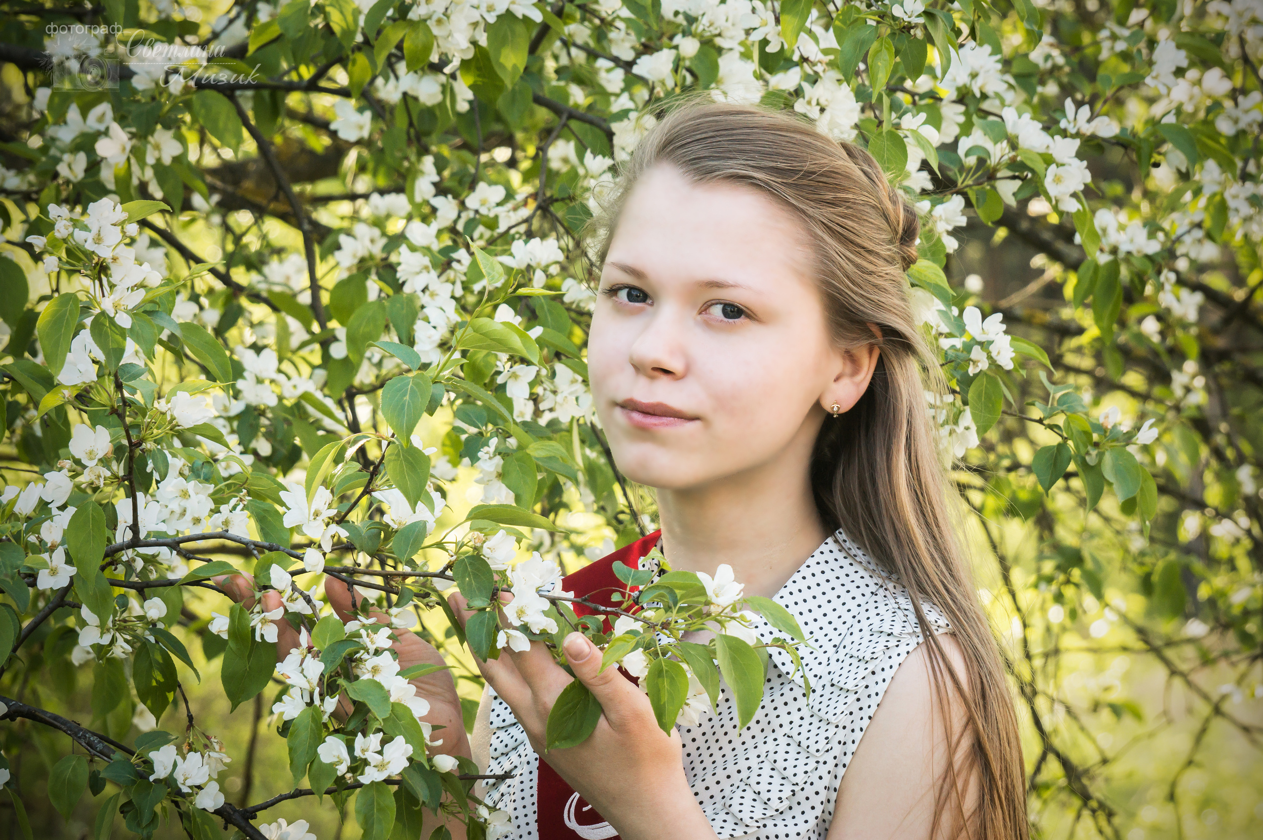 Фотосъемка в детском саду фотосъемка в школе Дипломы Выпускник Фотопла. Фотосъемка в детском саду и школе. Фотоальбомы и фотокниги ВЫПУСКНИК