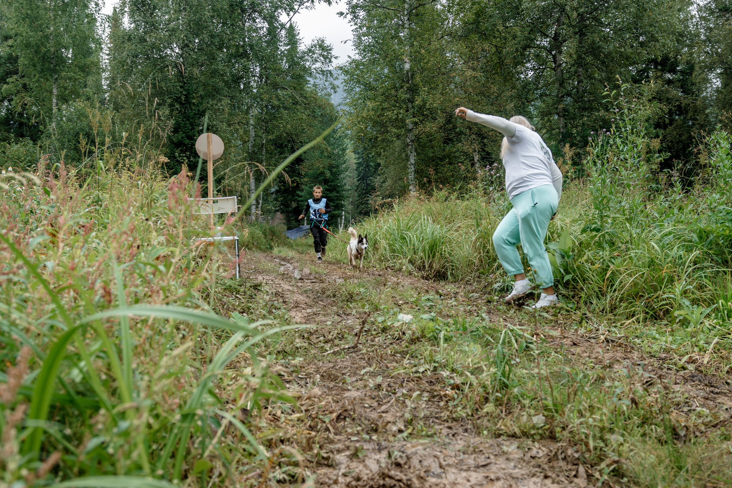 Дог-треккинг