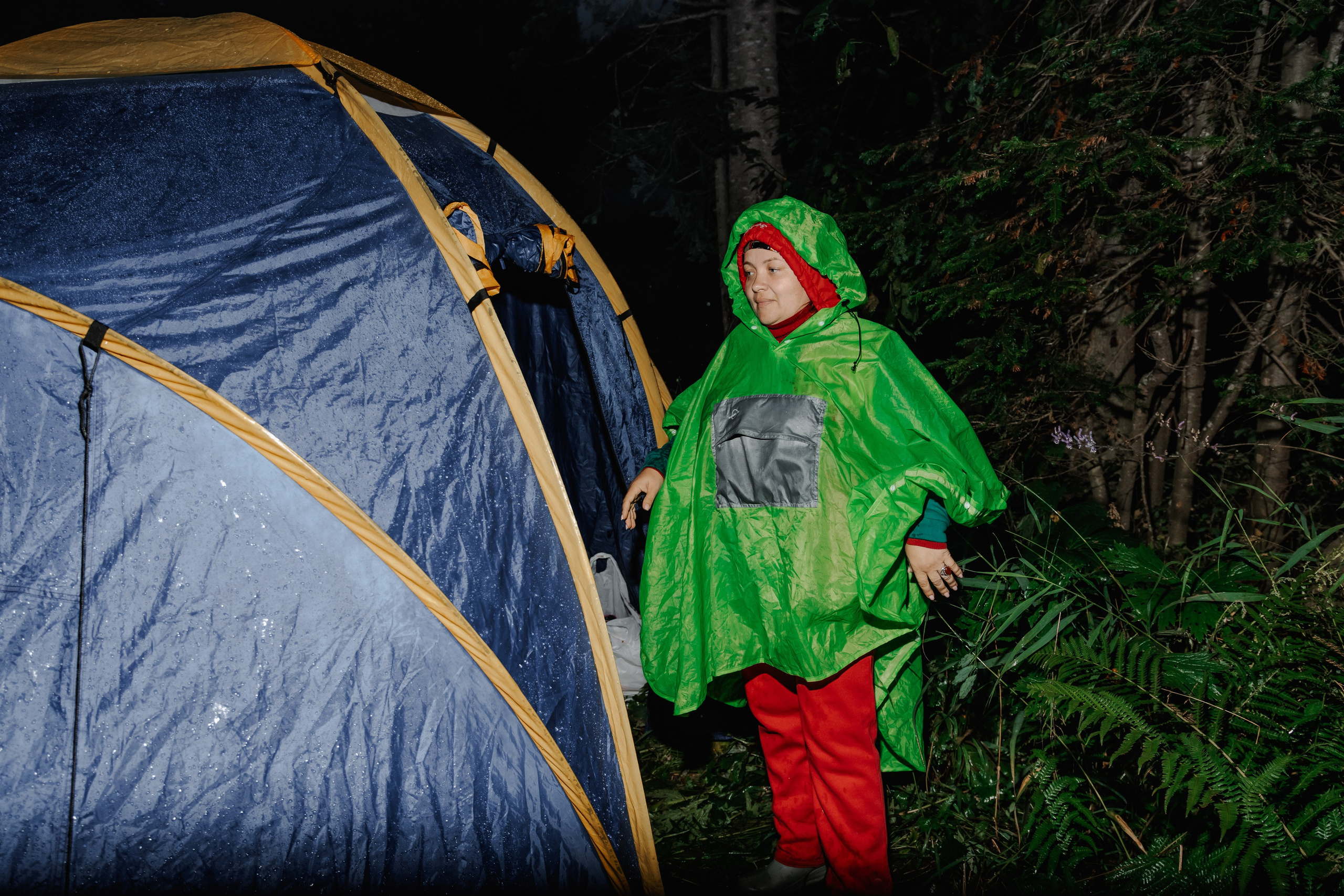 Дог-треккинг