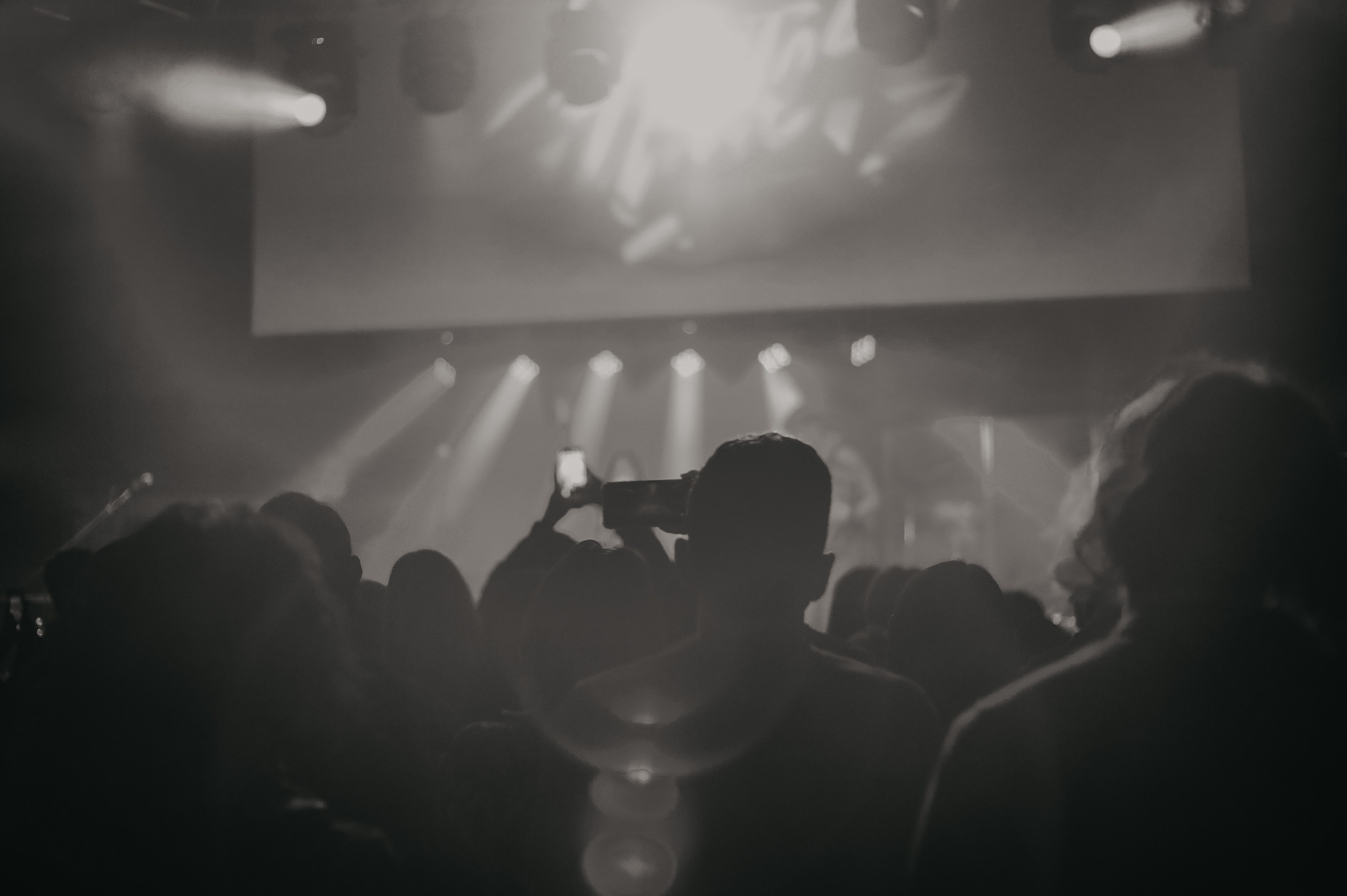 The Hatters. Фотограф Елизавета Колесникова