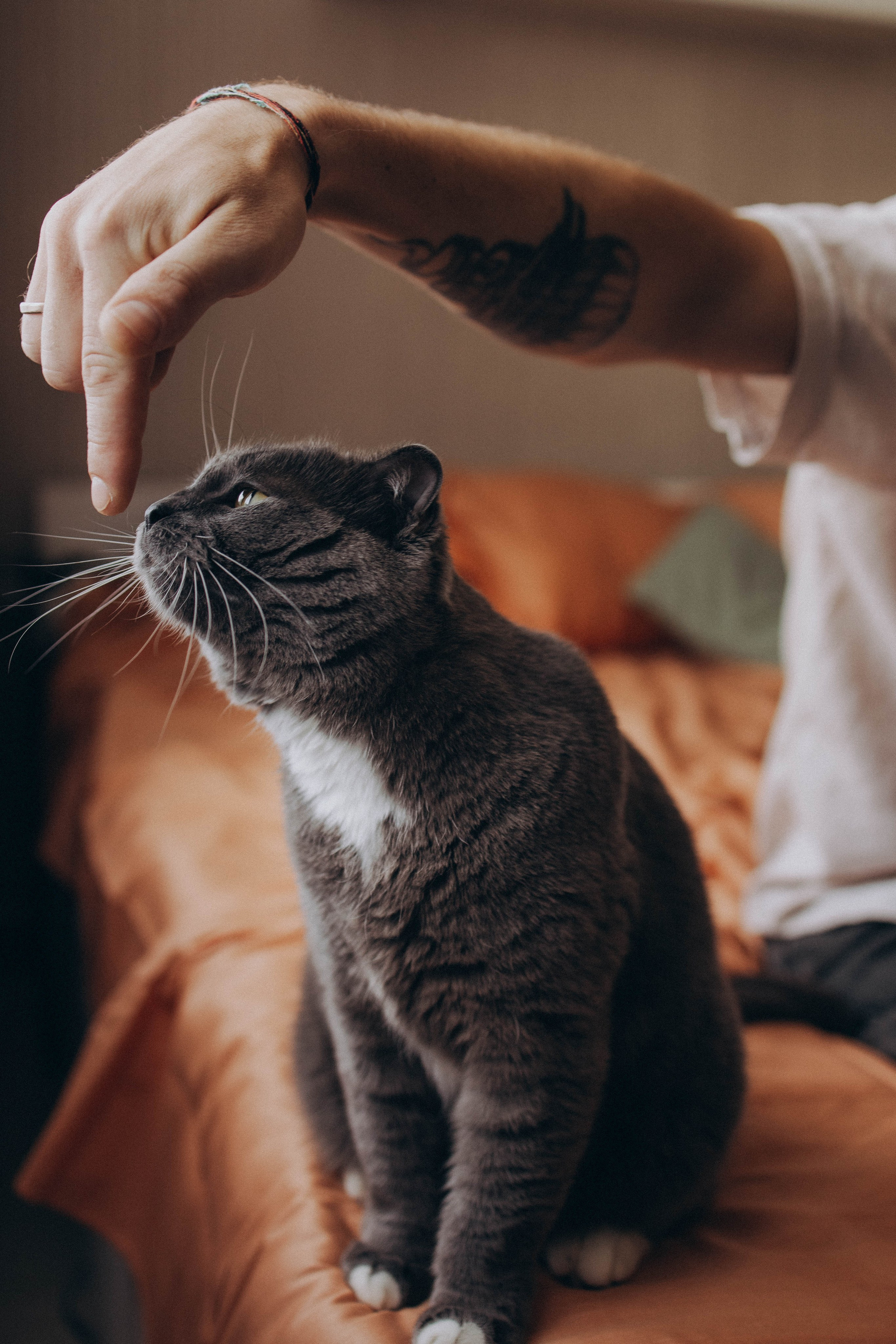 Саша Аня и Василиса. Фотограф lifestylе в Москве Пшеничная Анастасия