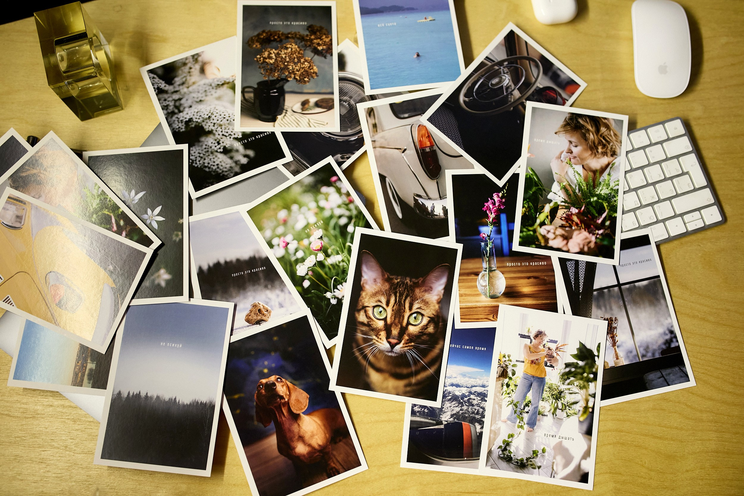 Отзывы. Детский, семейный и школьный фотограф Смоленск Москва Влад Старов