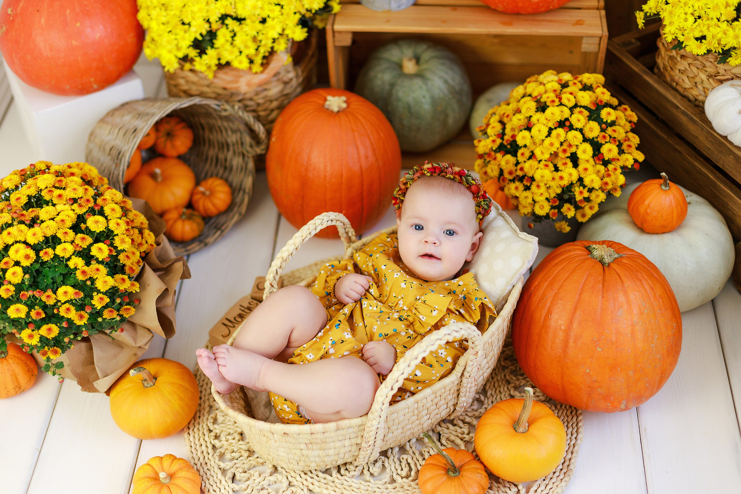 Осенняя детская фотосессия с тыквами и кроликом в Краснодаре. Детский и семейный фотограф в Краснодаре Альбина Морозова