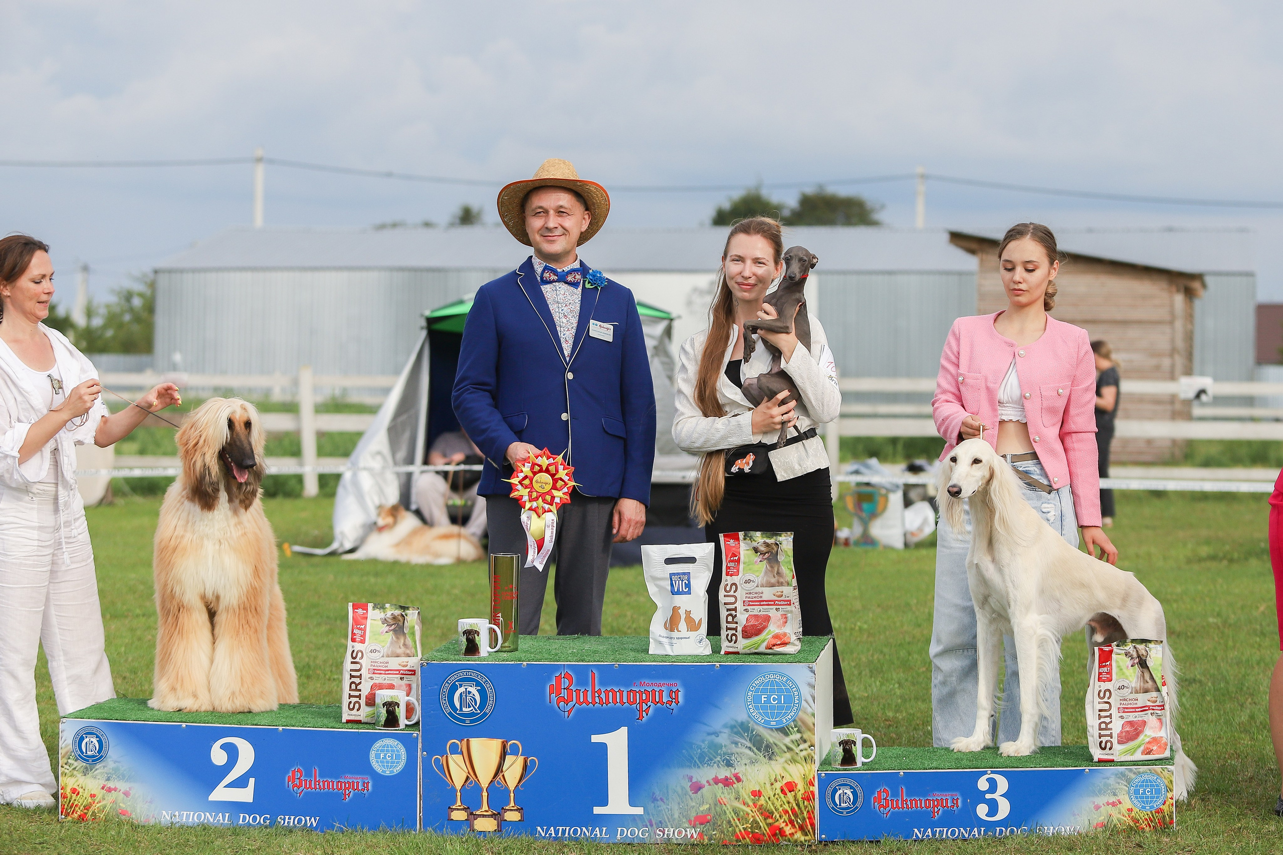 Республиканская выставка собак всех пород. Галерея фотографий афганской борзой