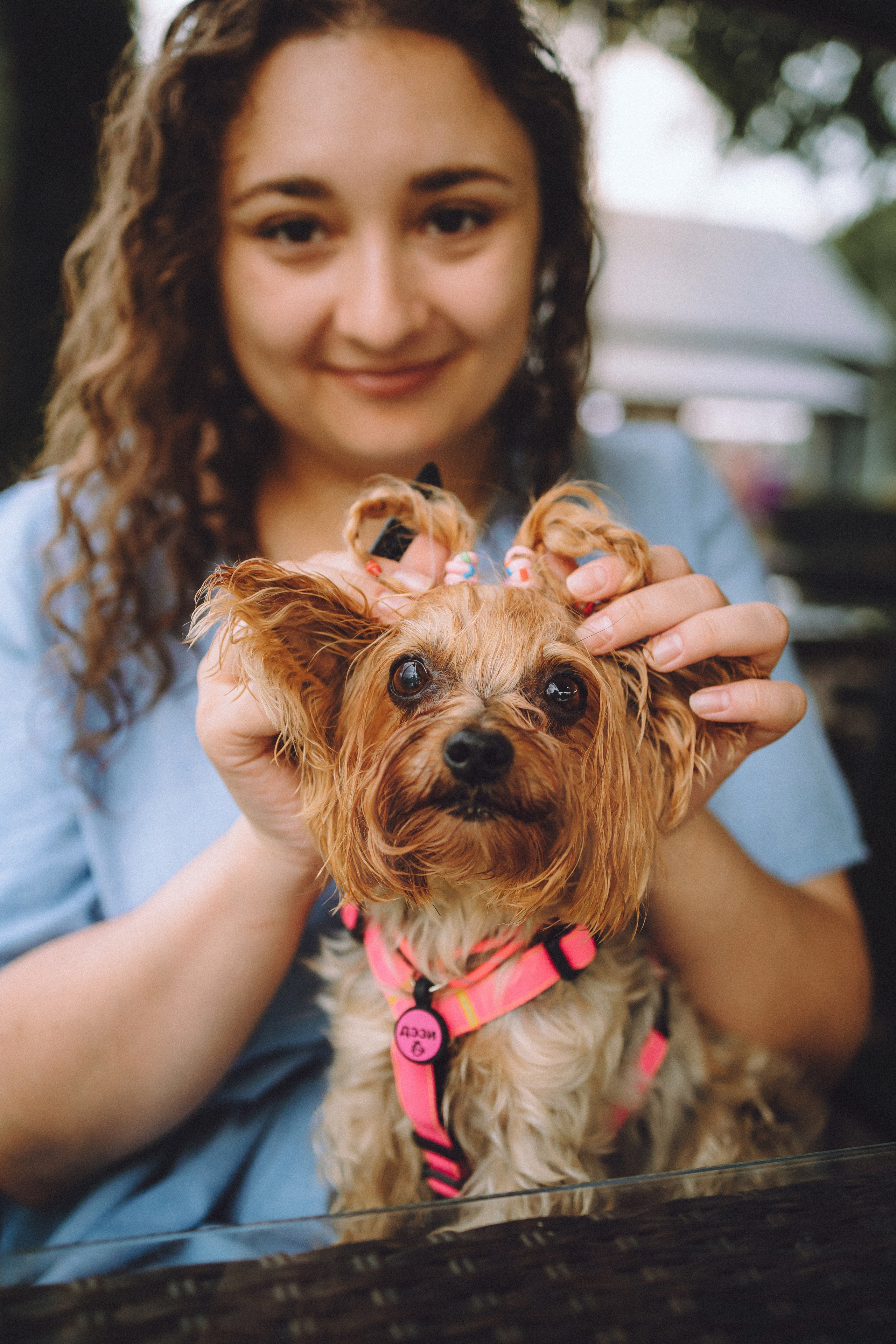 Даша и Дэзи