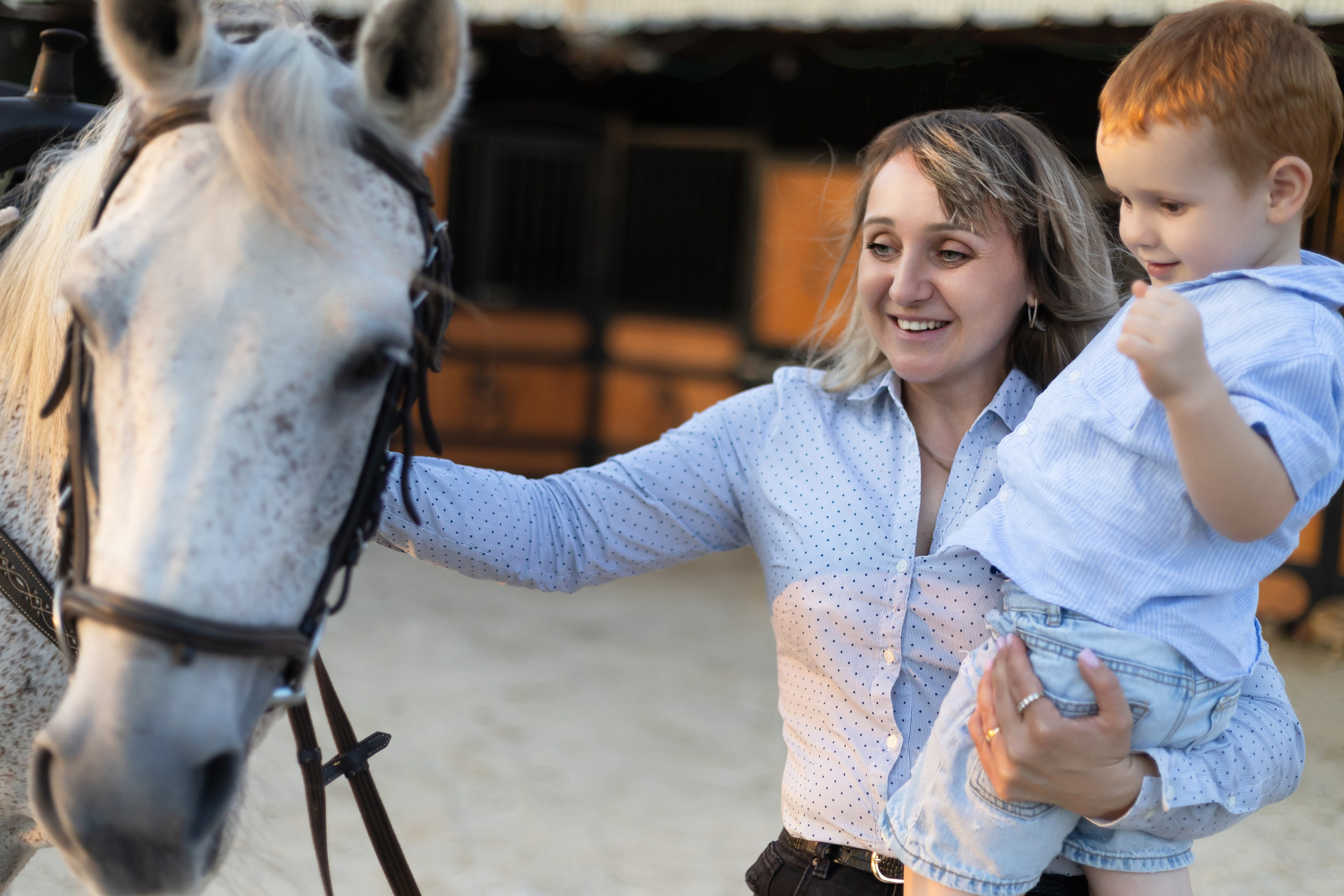 Анна и Амир. Семейный фотограф Израиль