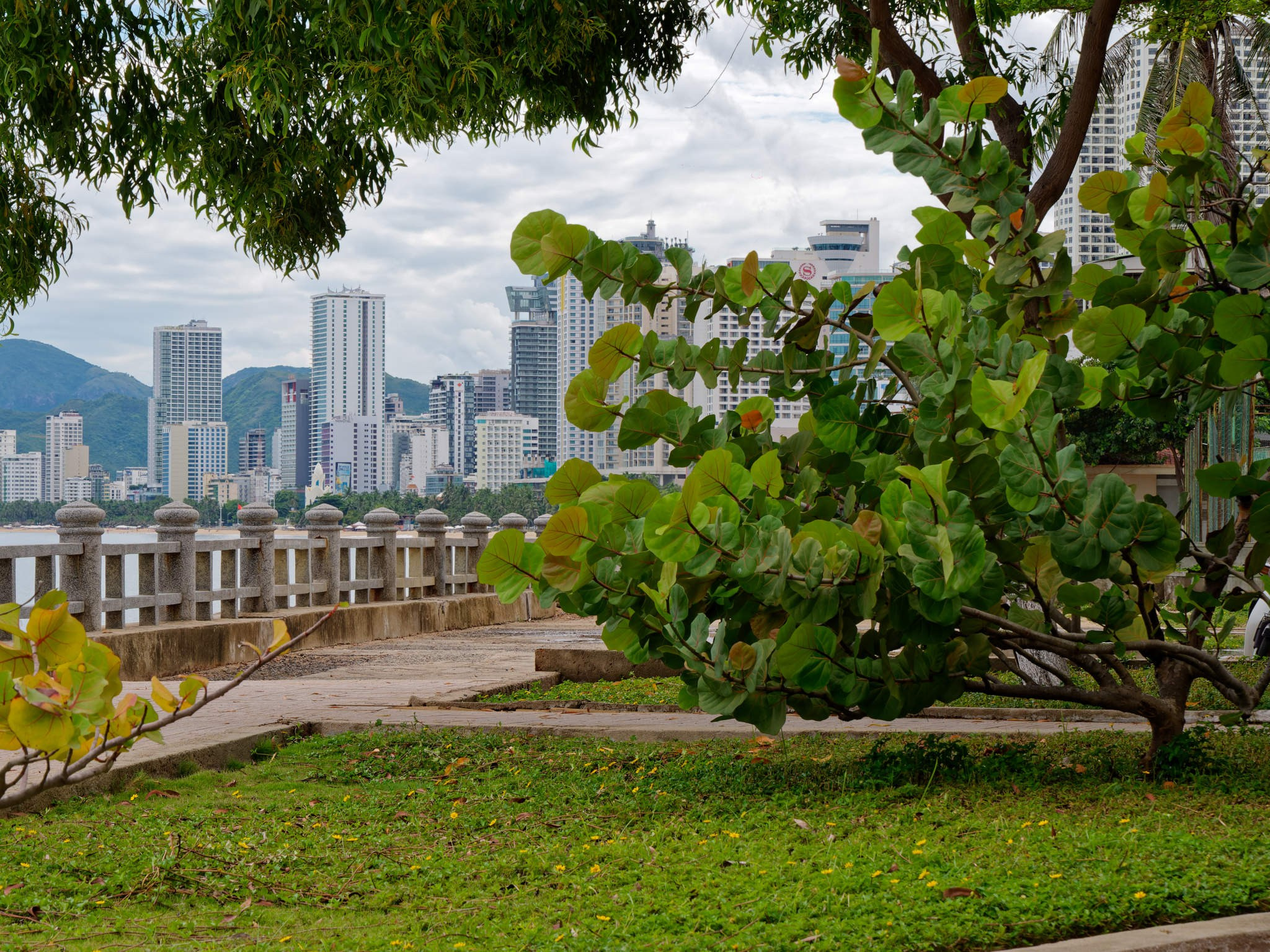 Нячанг 2023. Избранные фотографии