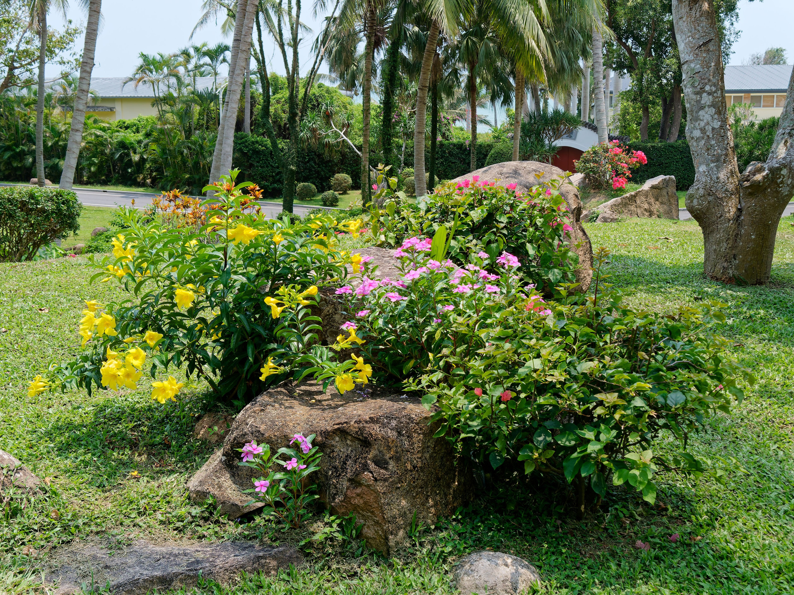 Хайнань 2026, Тур по буддийским храмам. Фотопрогулки по Миру