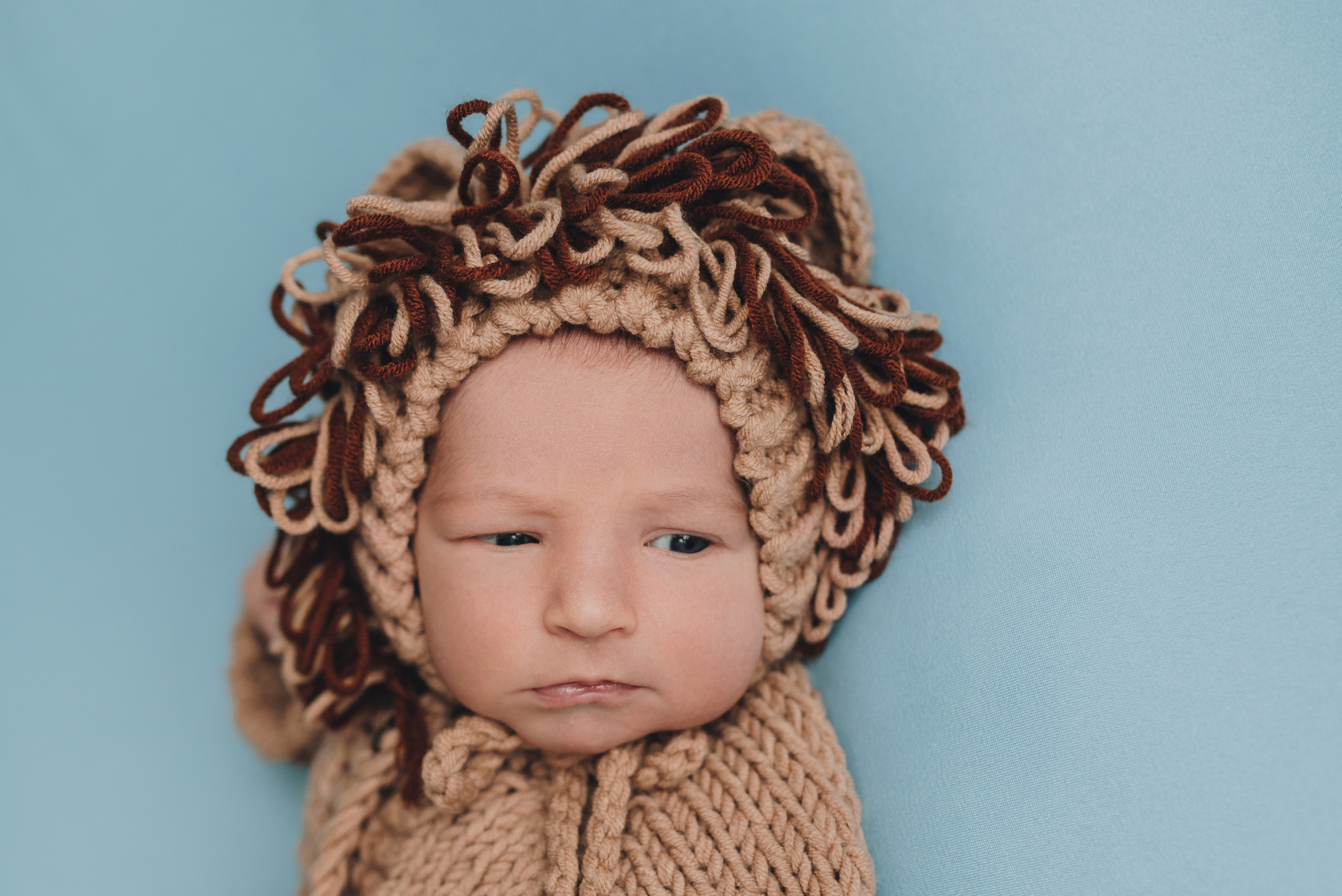 Alex. Natalia Finch Photography — Family, Kids & Pet Photographer in Chicago, IL