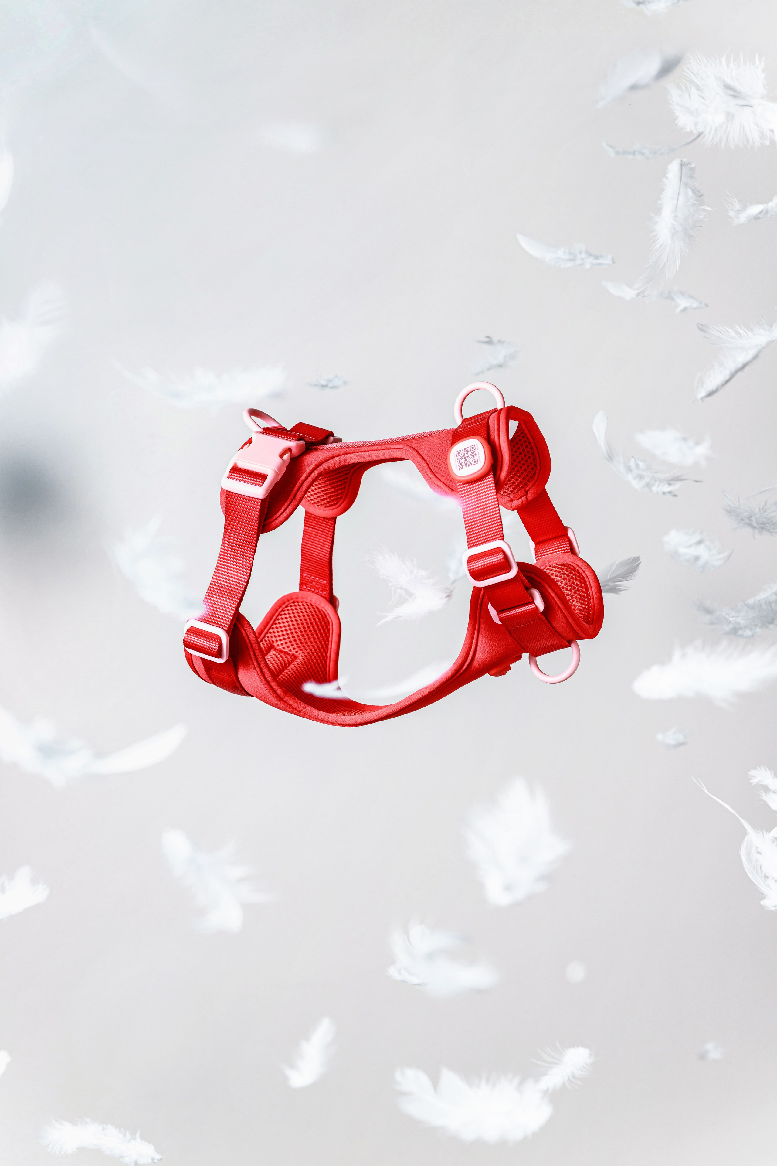 In good company для собак. Фотограф в Москве Татьяна Драгунова