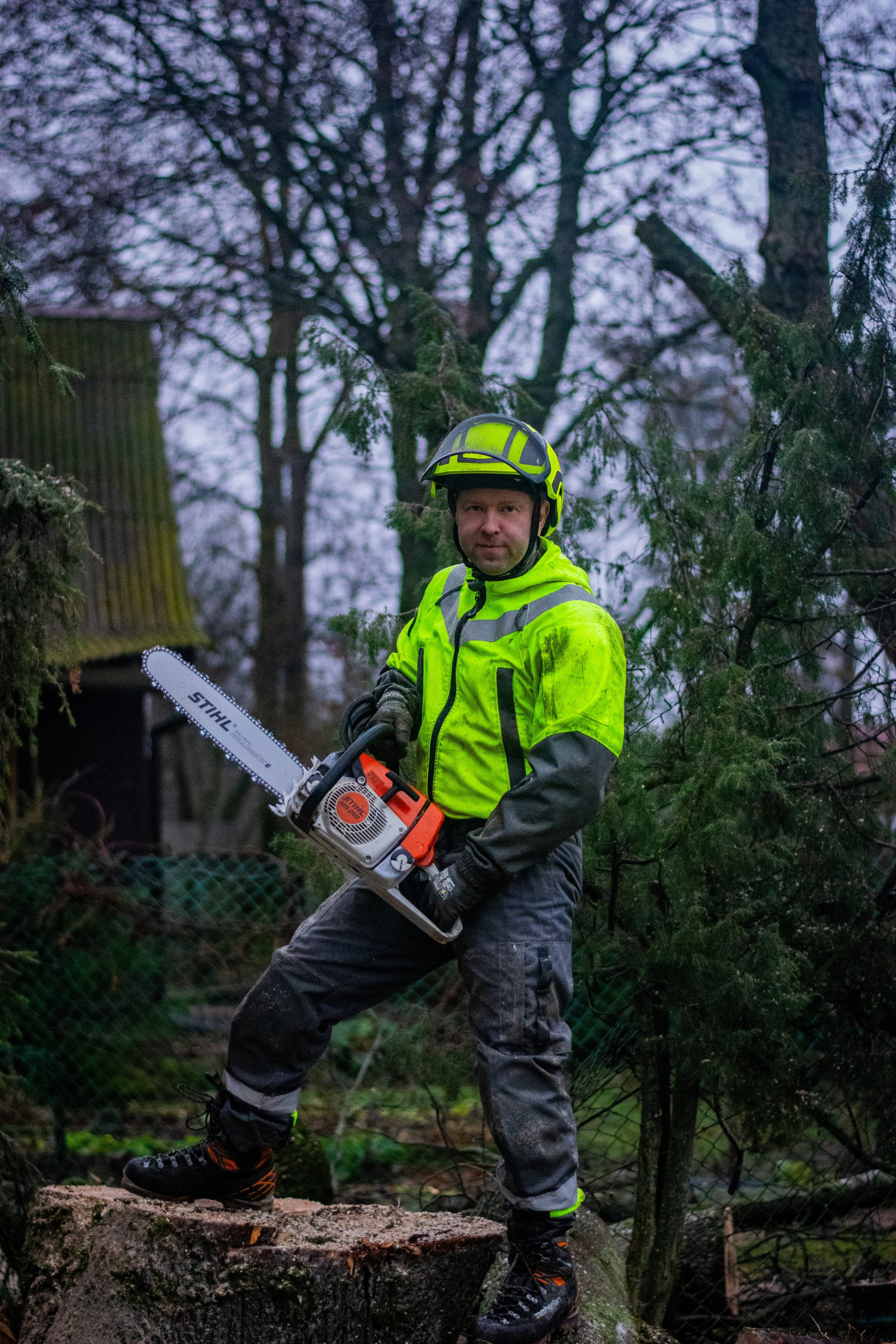 Спил деревьев. Аrbori Culturist