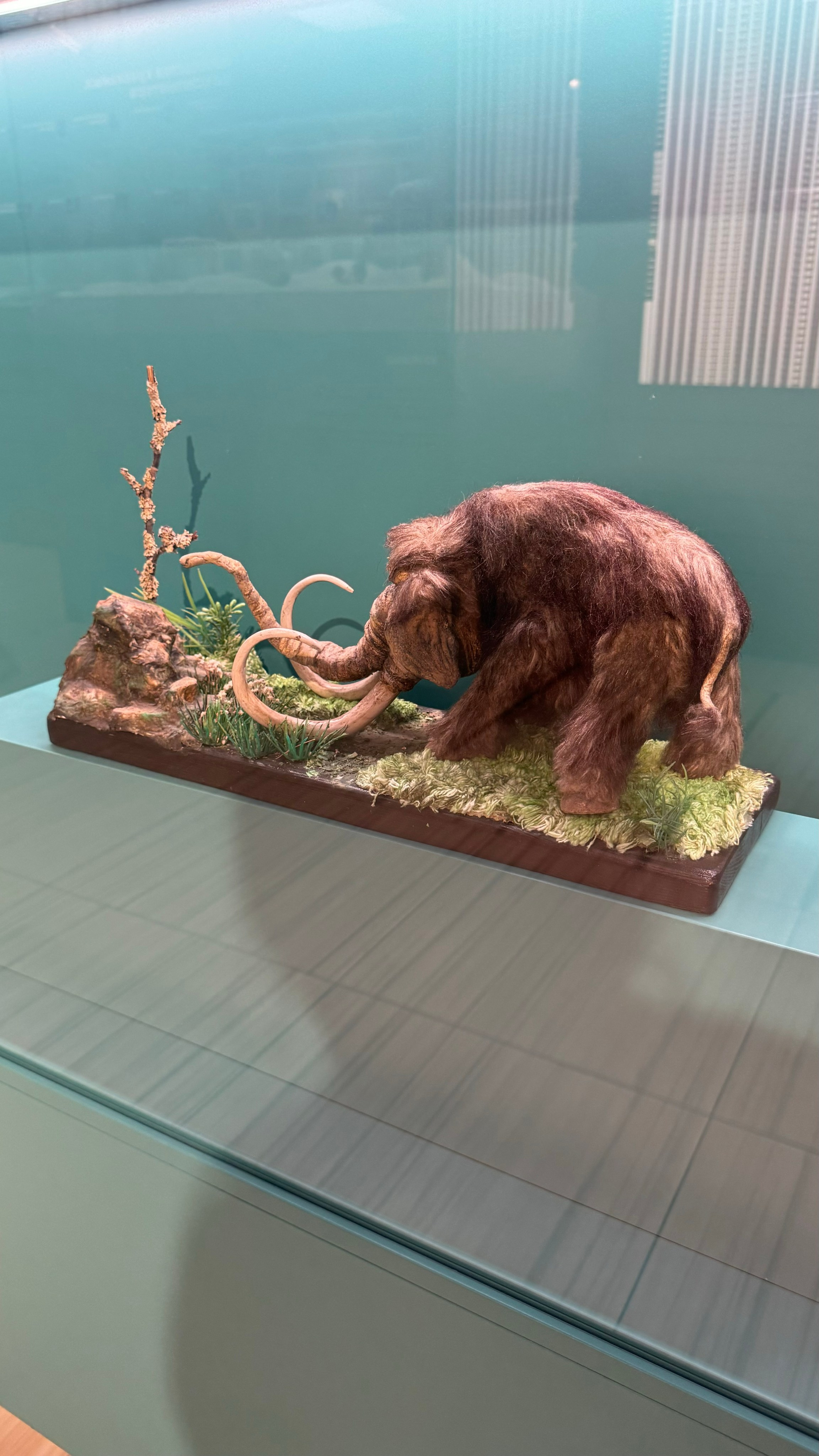 Приглашаем в арт-лагерь в Москве для детей!. Арт-вечеринки и мастер-классы в Москве для взрослых и детей