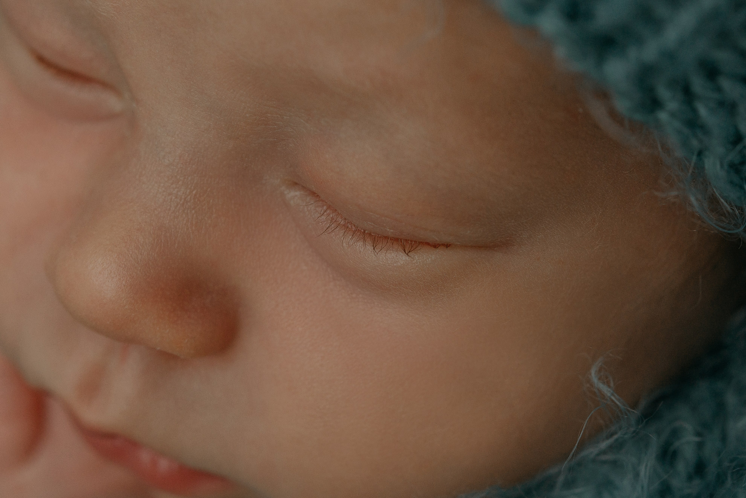 Лев. Фотограф новорожденных Белгород