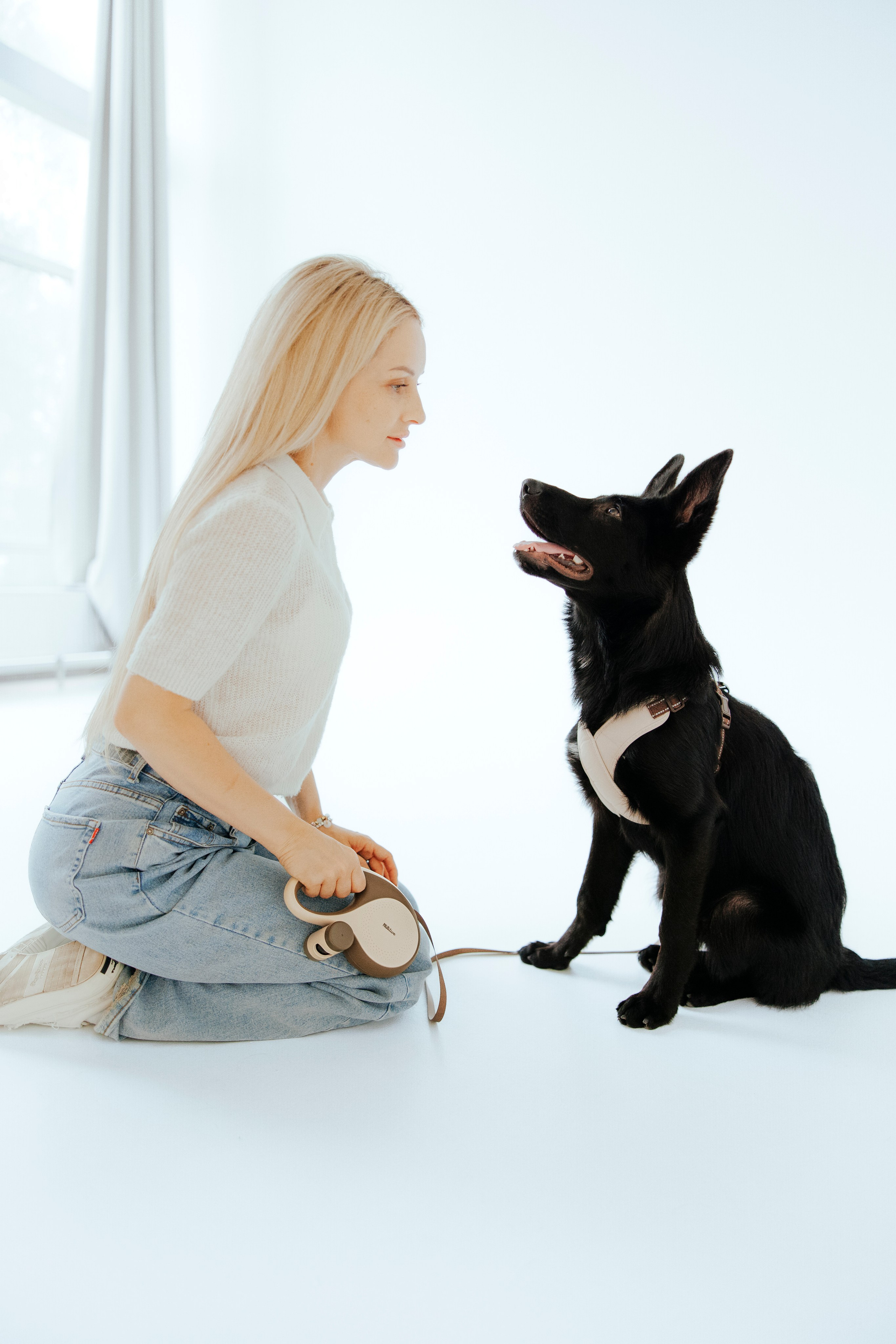 Pawsitive рулетки. Анастасия Белаш