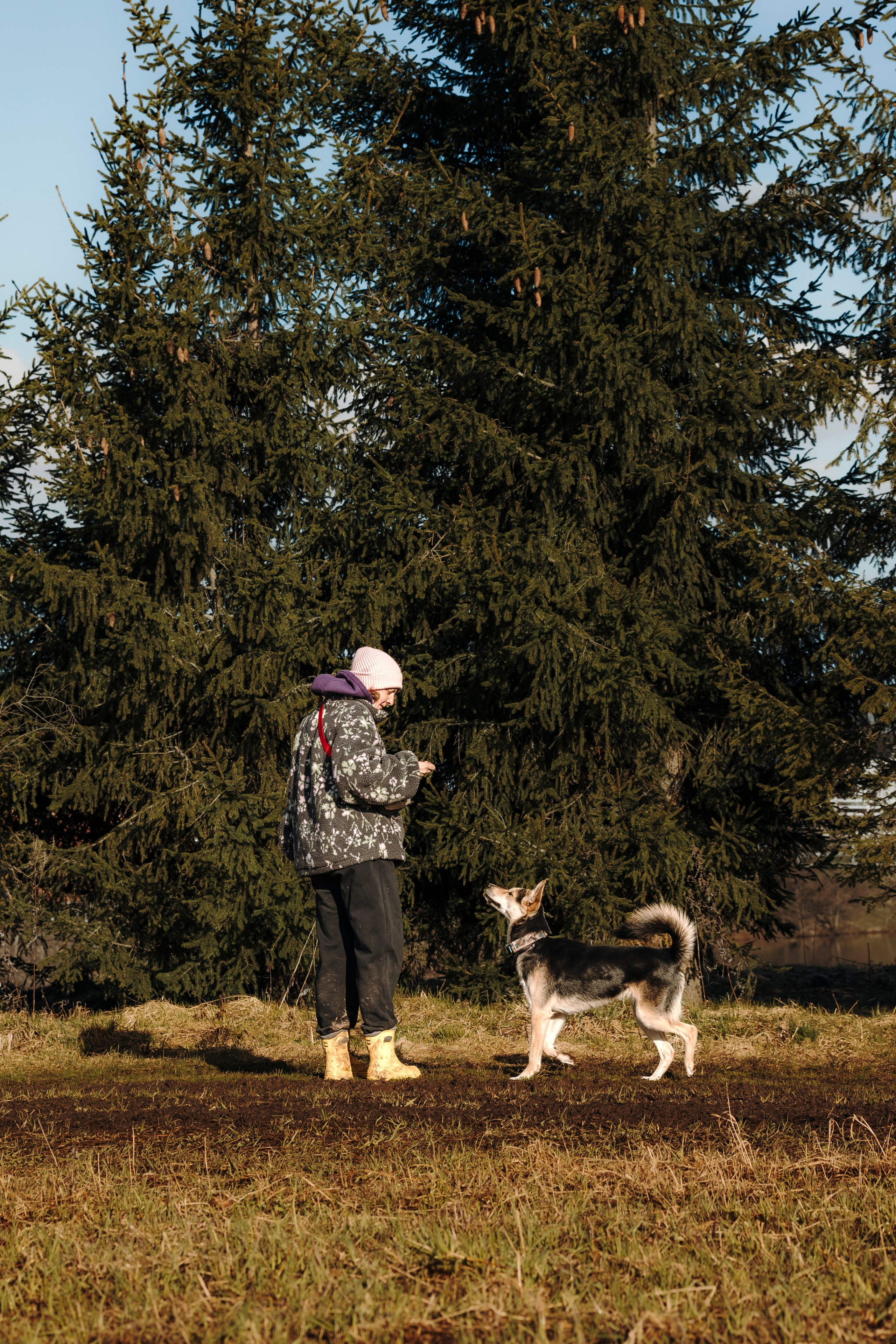 Смена в «DogCamp». Анастасия Белаш