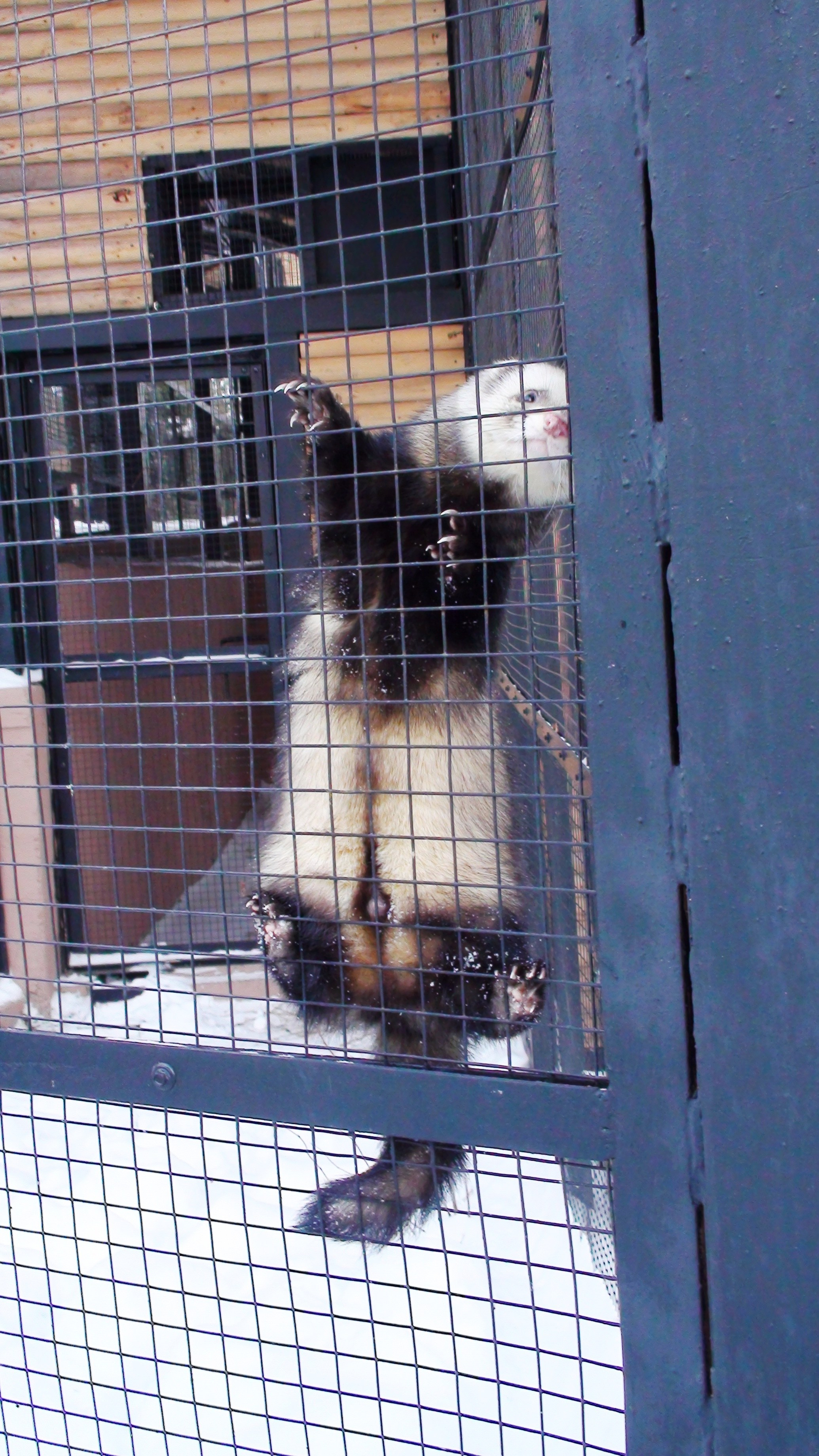 Новый Год 29.12.13-06.01.14. Семейный, Свадебный фотограф СПБ Питер— Романова Екатерина