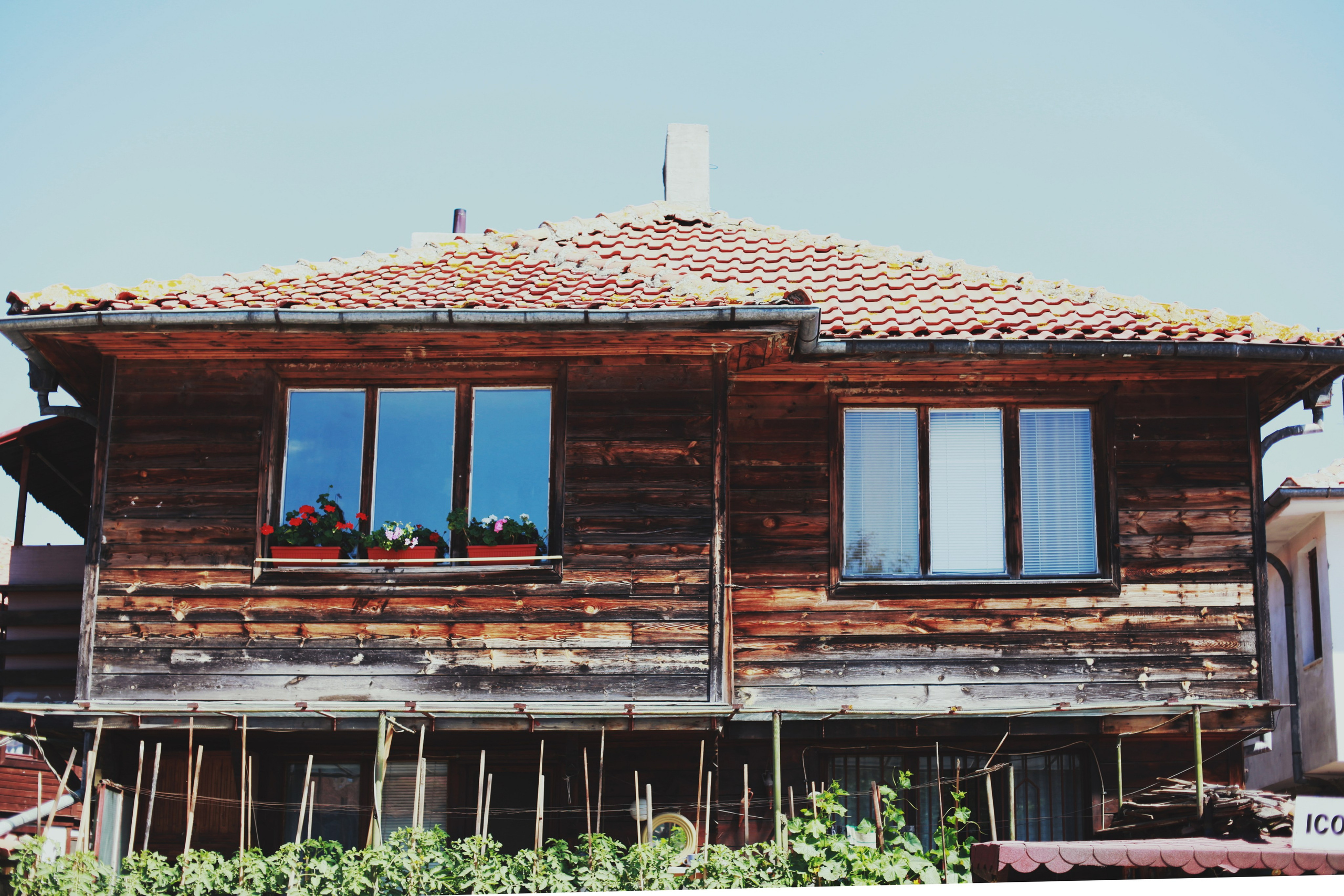 Болгария. Аня Степанова