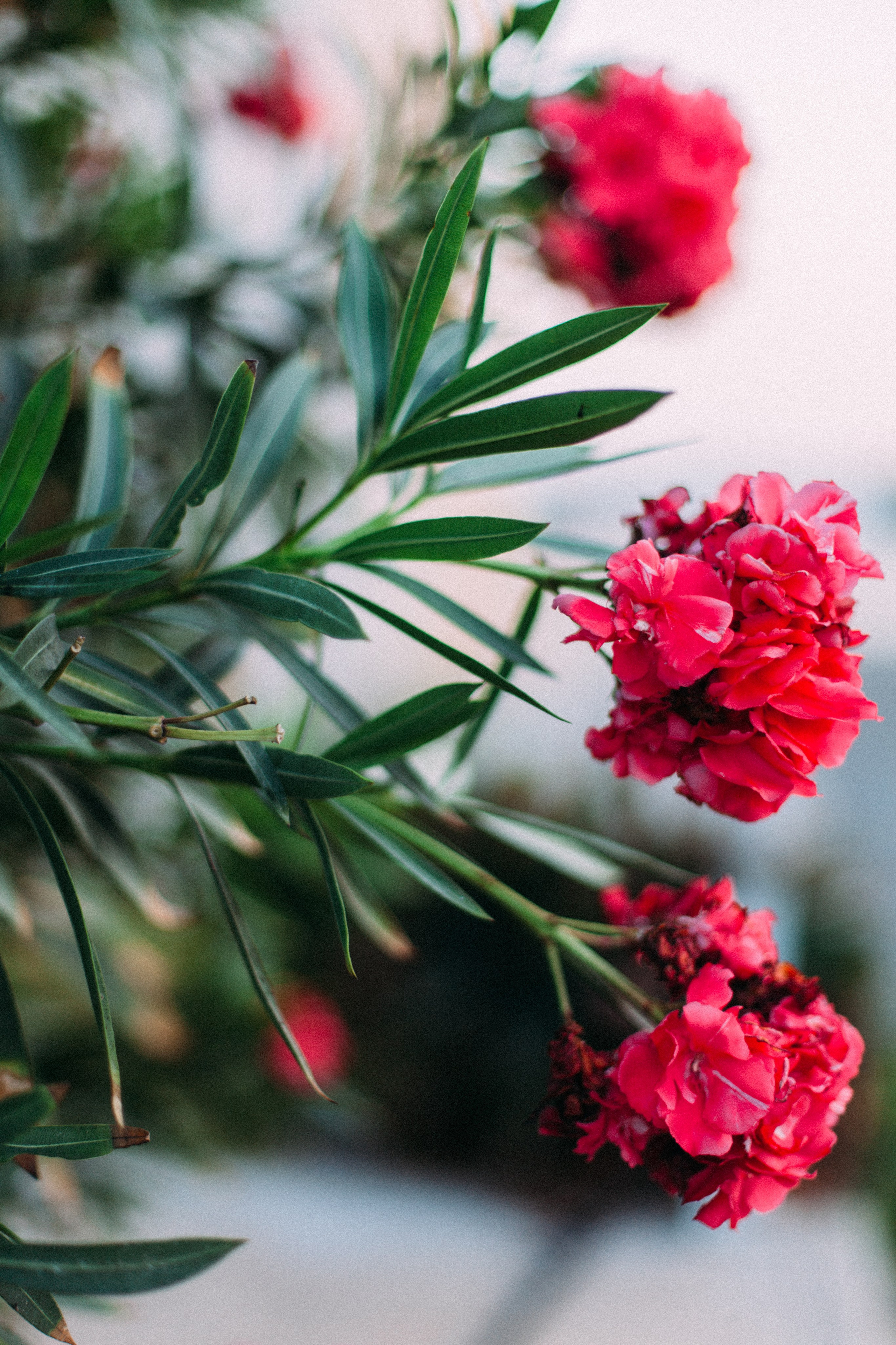 Кипр. Аня Степанова