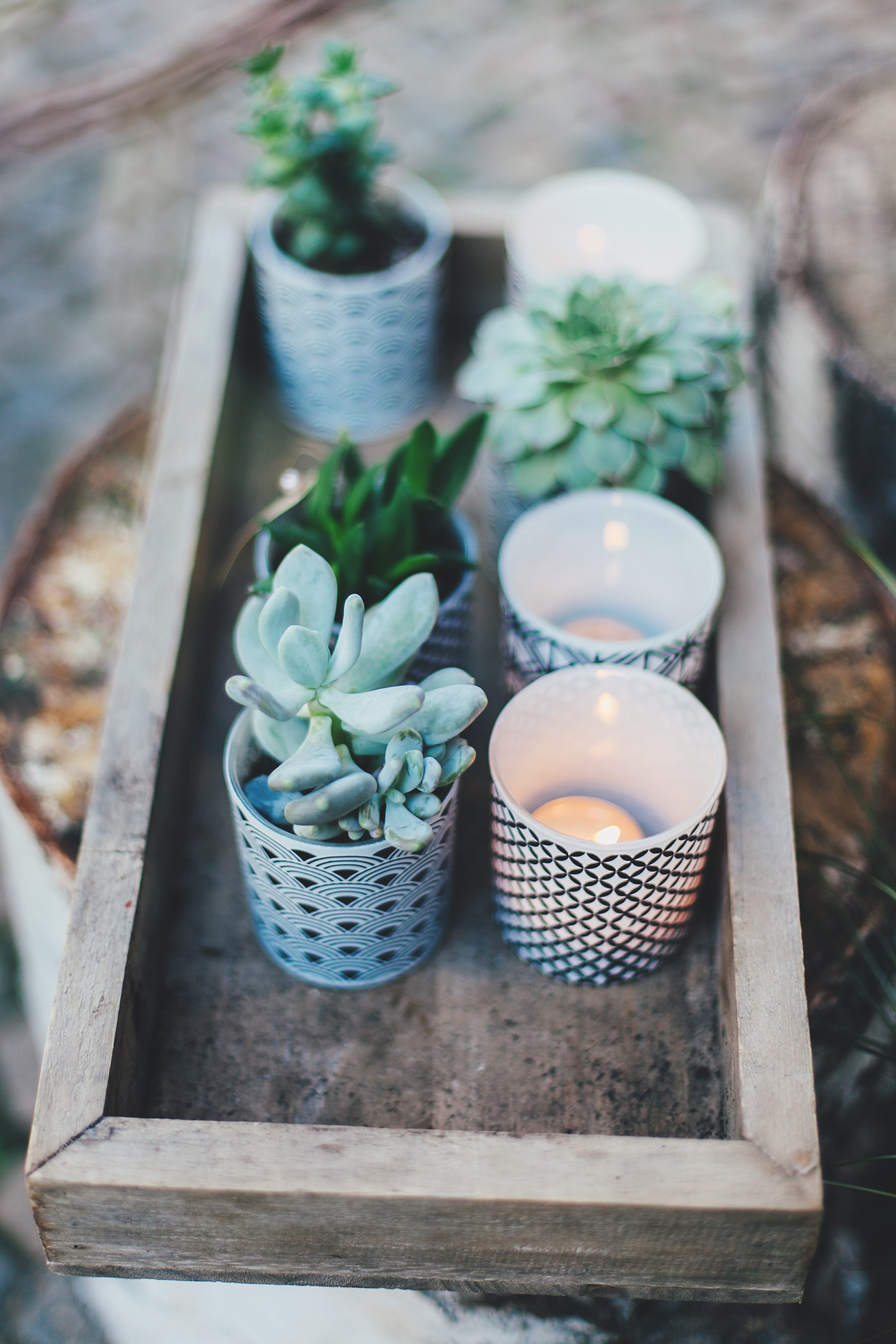 Берлин. Аня Степанова