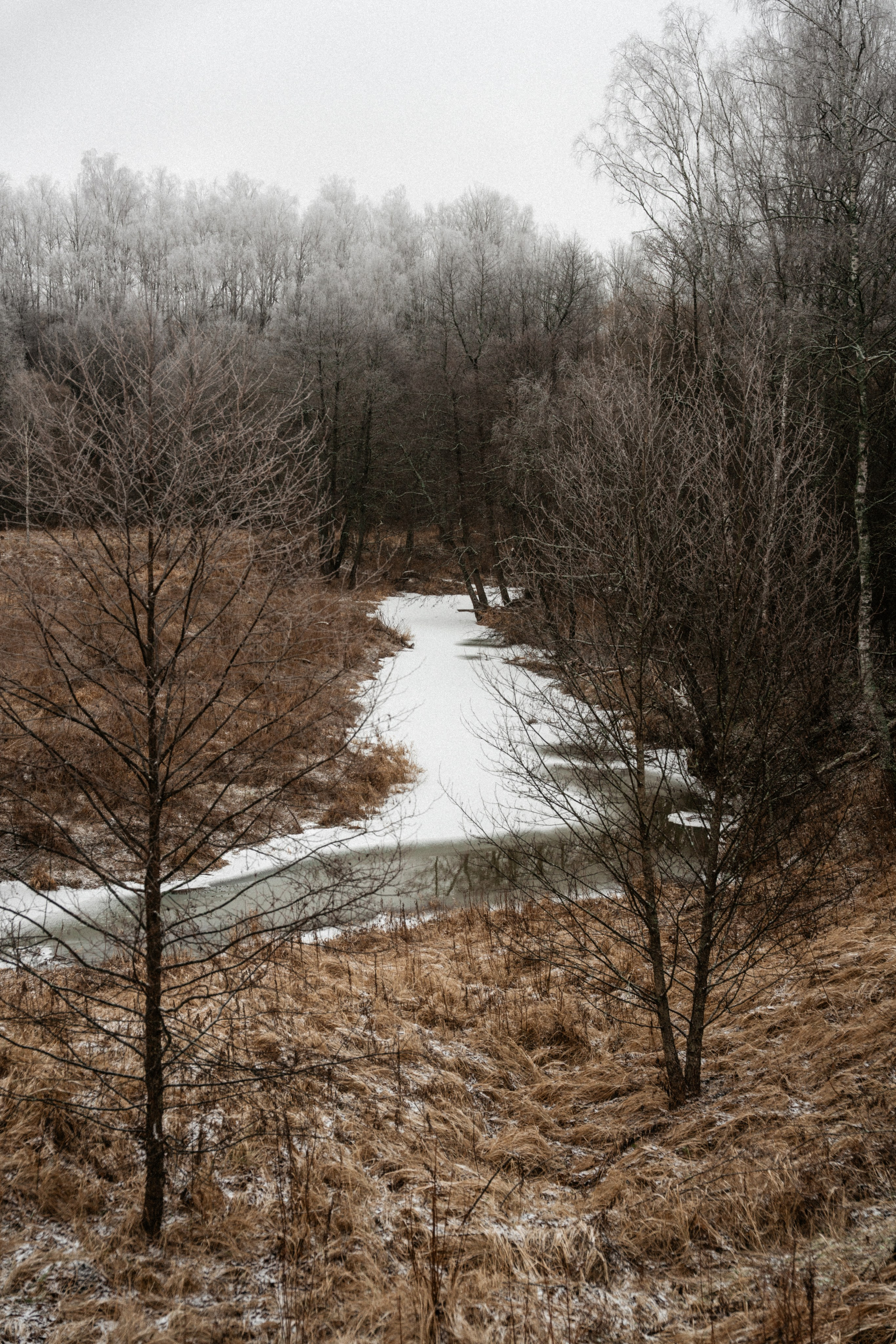 Прогулка по оврагу близ реки. Vlad Trykov