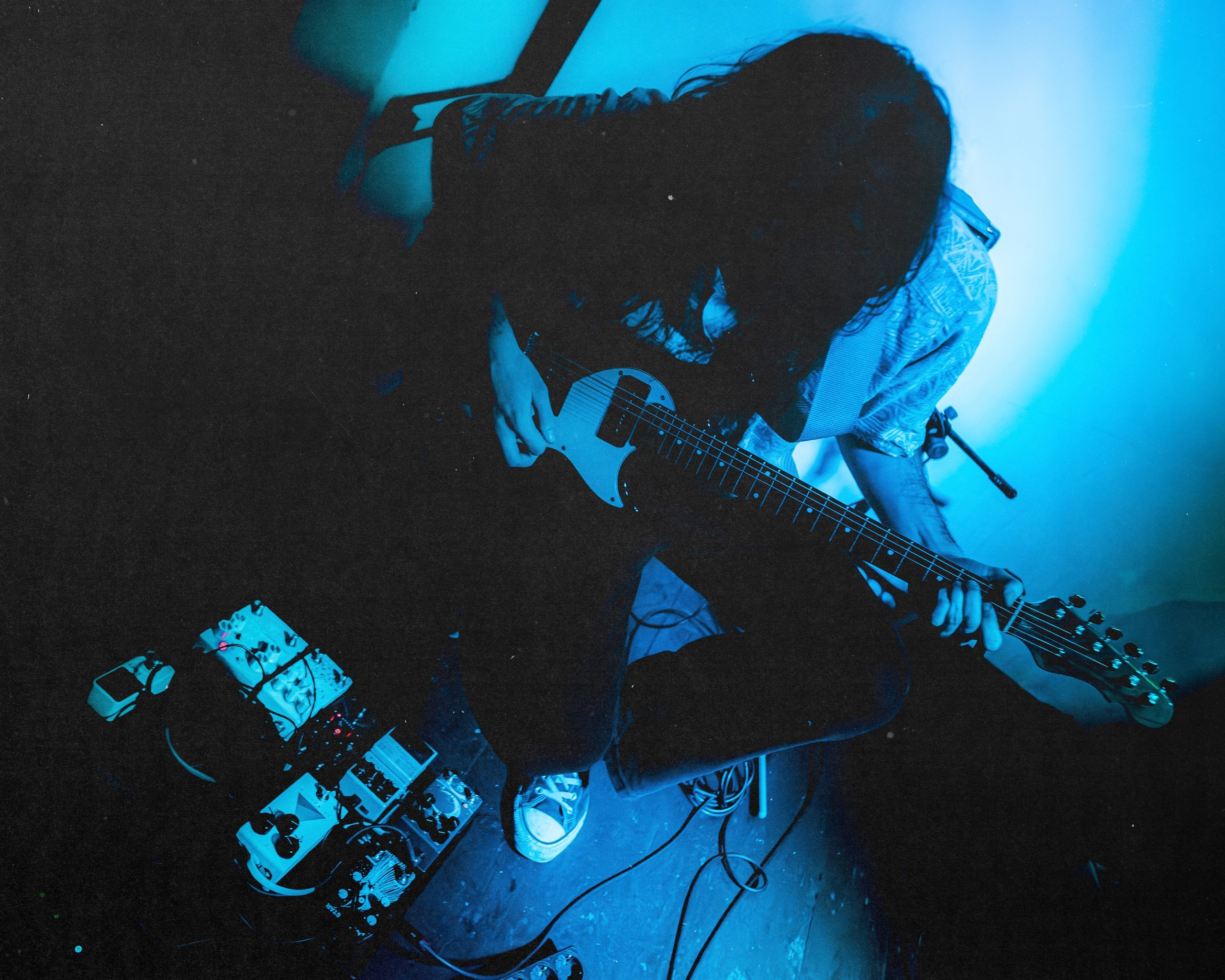 Dog Silent [pwrhs]. Фотограф Москва