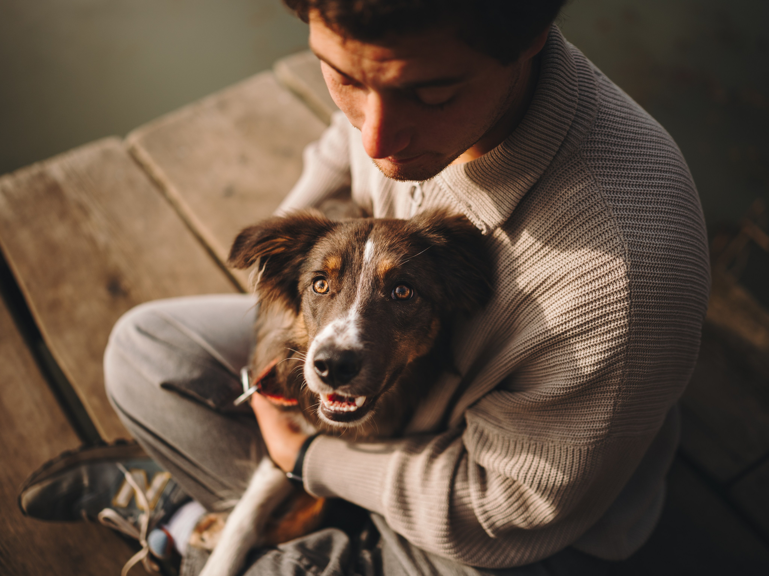 Настя, Максим, Орео и Норд. Семейный фотограф анималист Ананьева Мария — Москва