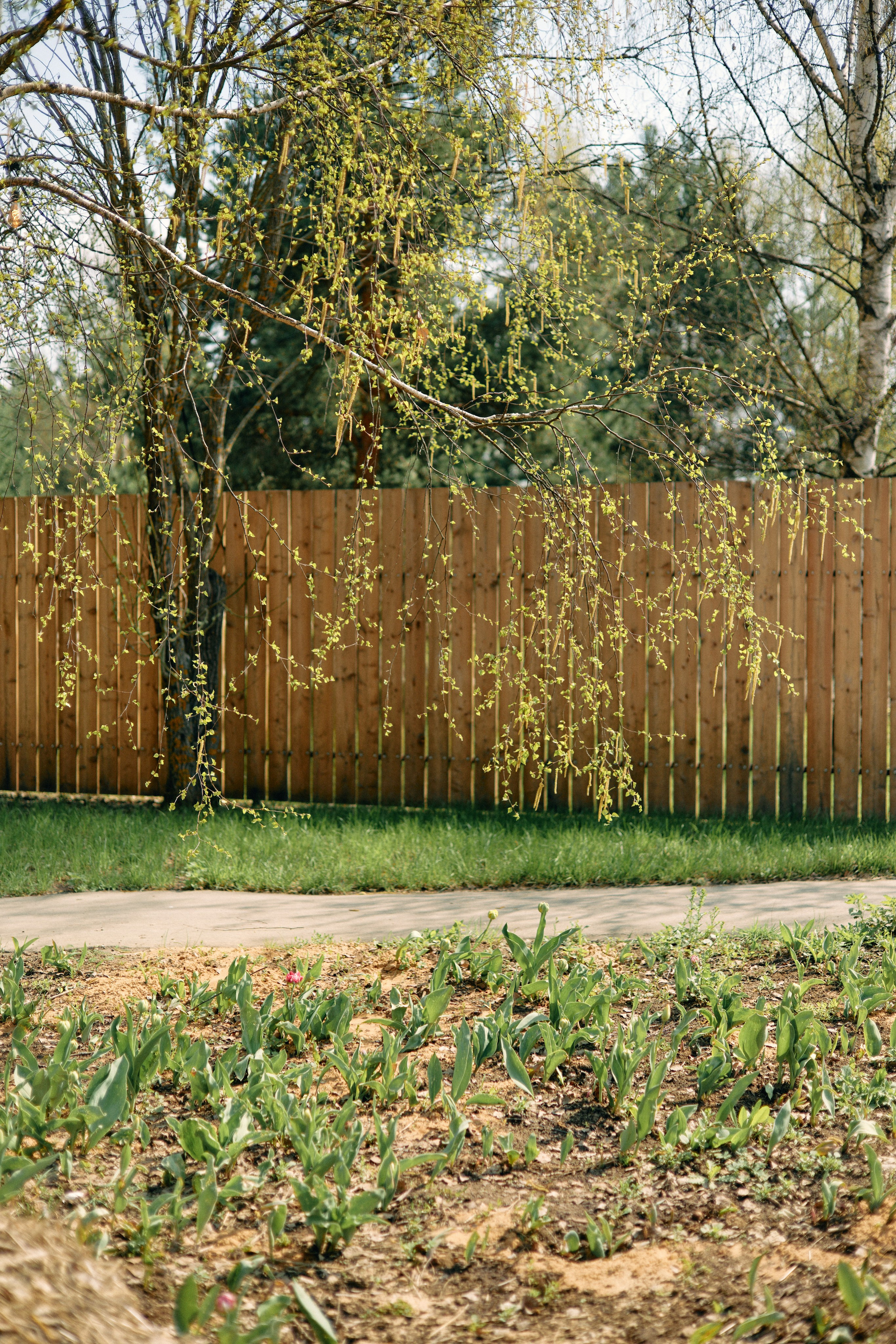 Бутик-отель Поле летом. Профессиональный Фотограф во Владимире, в Москве и в Суздале — Полина Романычева