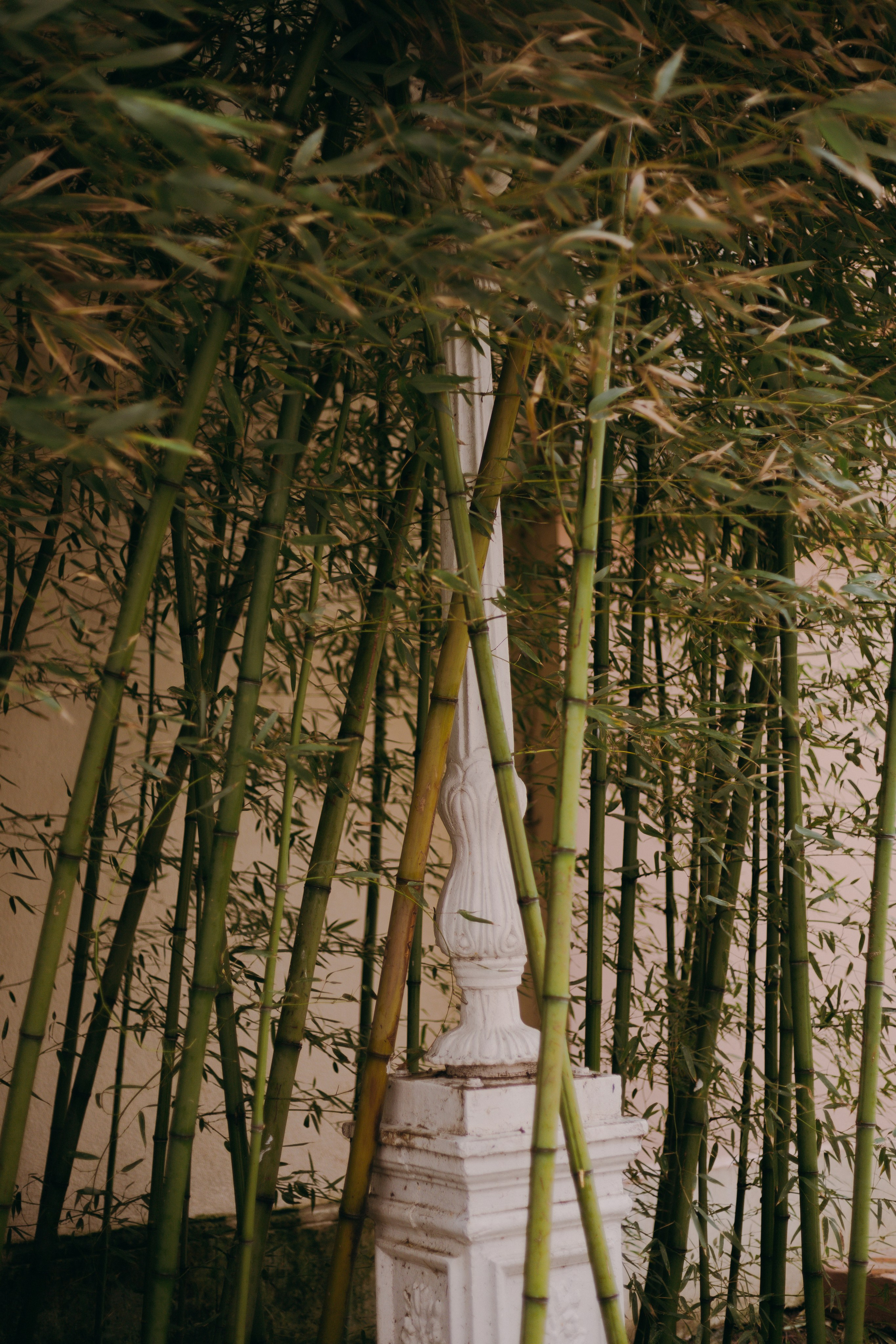 Стамбул. Профессиональный Фотограф во Владимире, в Москве и в Суздале — Полина Романычева