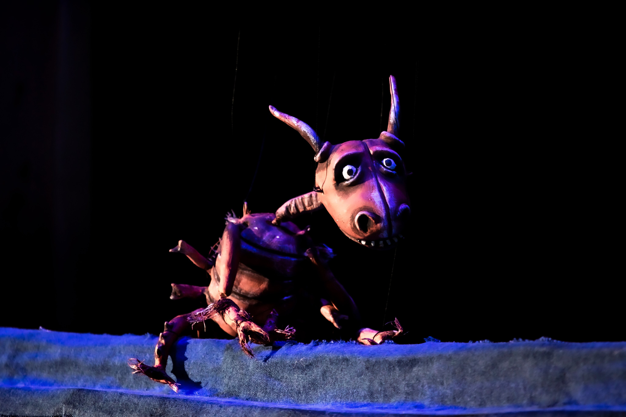 Истории. Фотограф в Сочи Юрий Шептаев