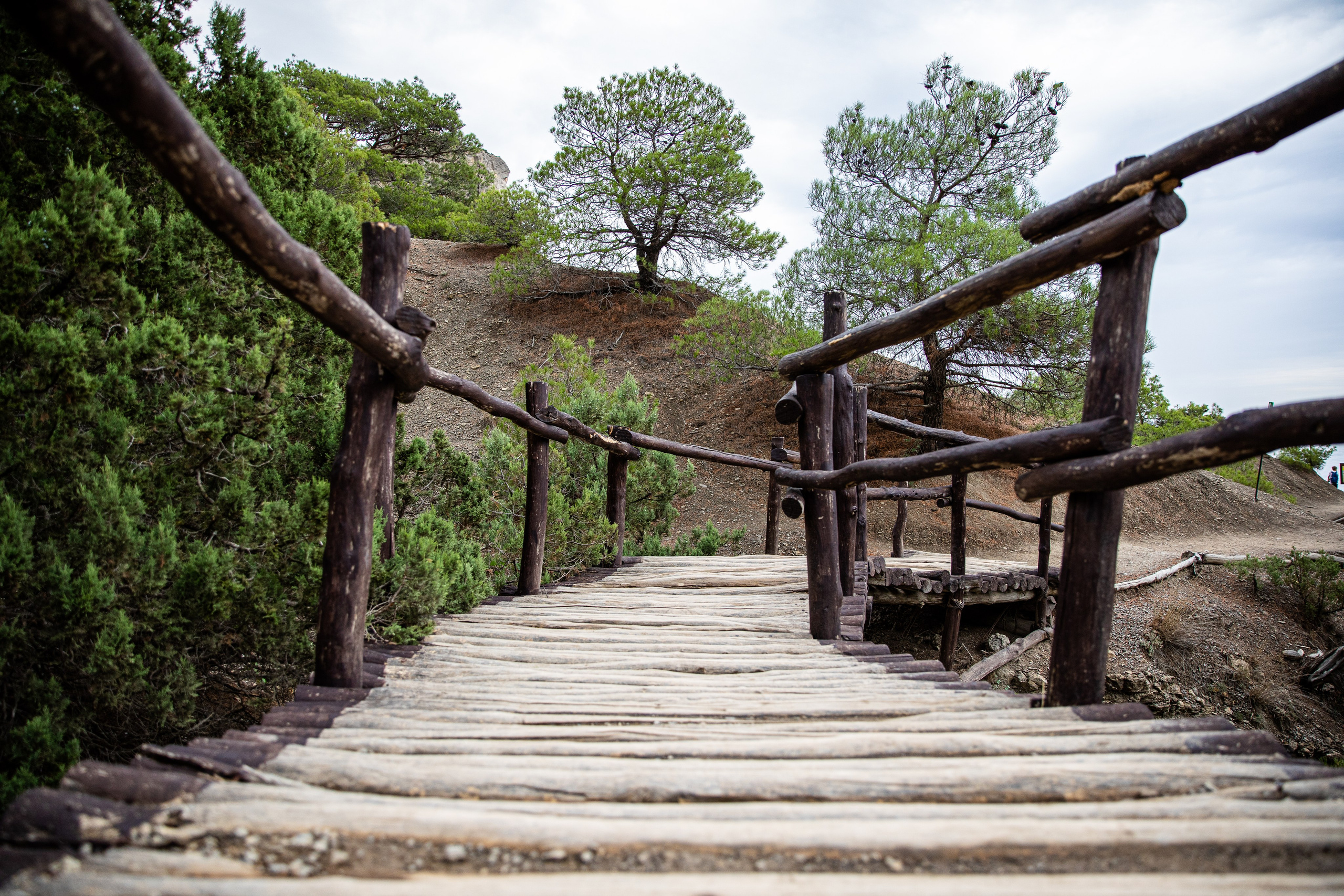 Планета. Фотограф FOTOBANKA