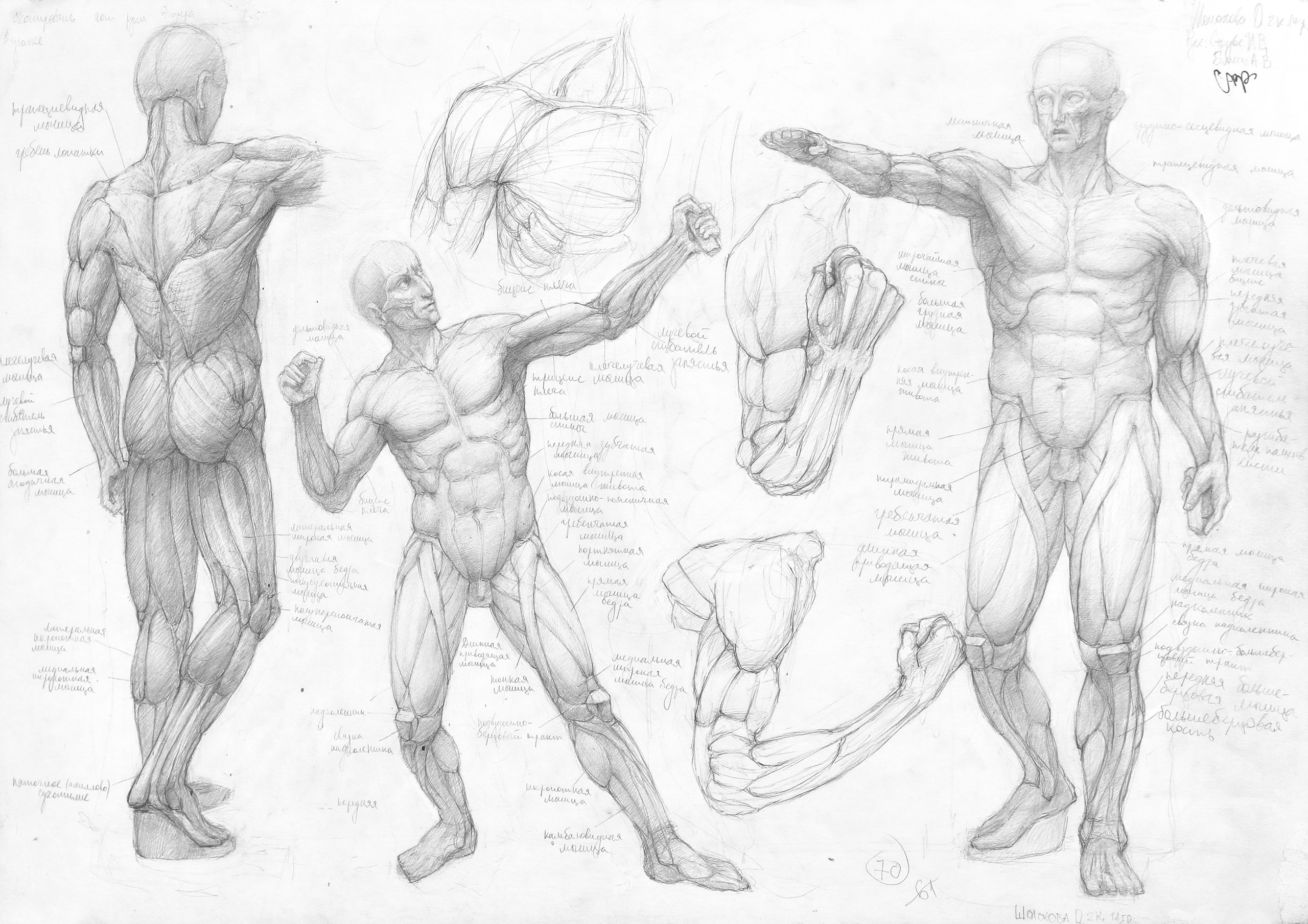 Работы студентов. Главная