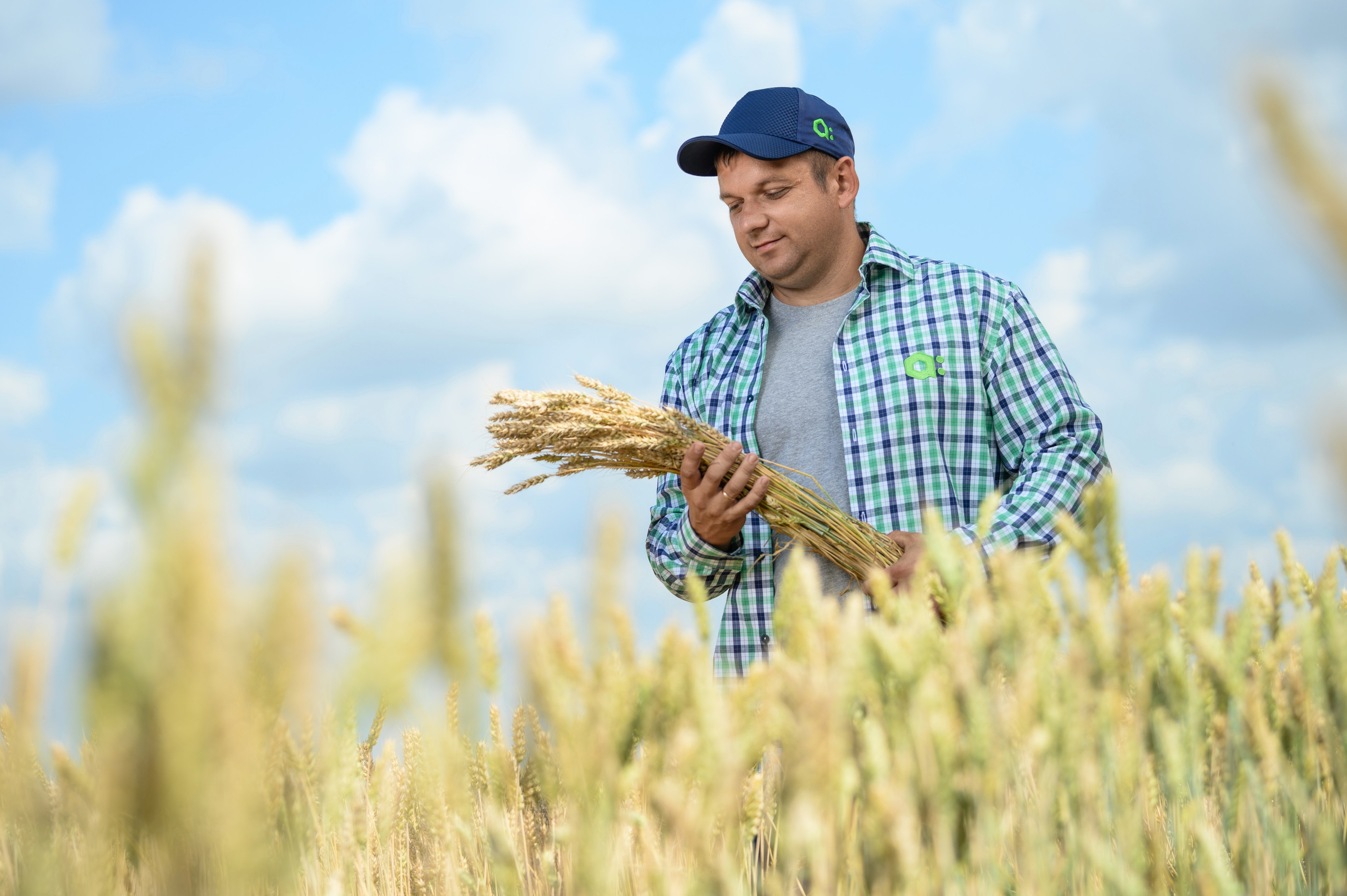 Проекты. Профессиональный фотограф Вячеслав Плацында | Липецк |