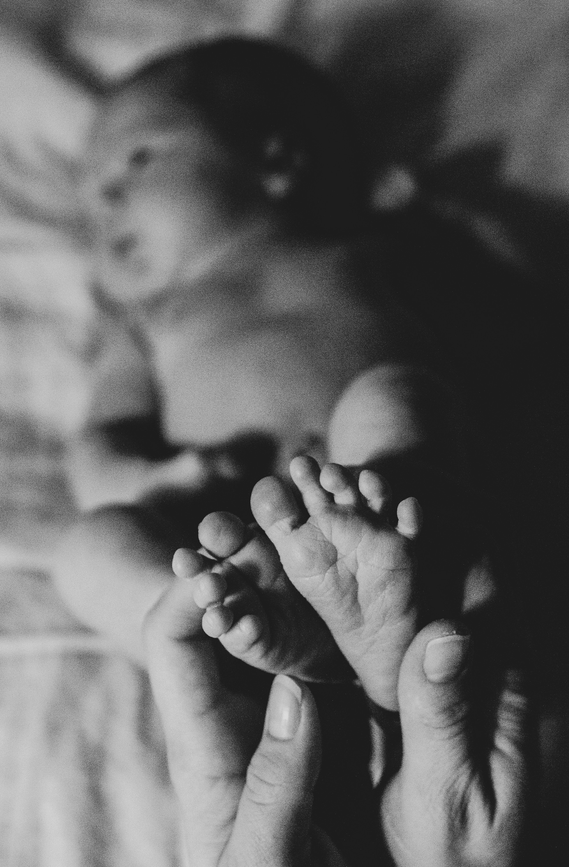 Семейная. Дарья, фотограф, Москва