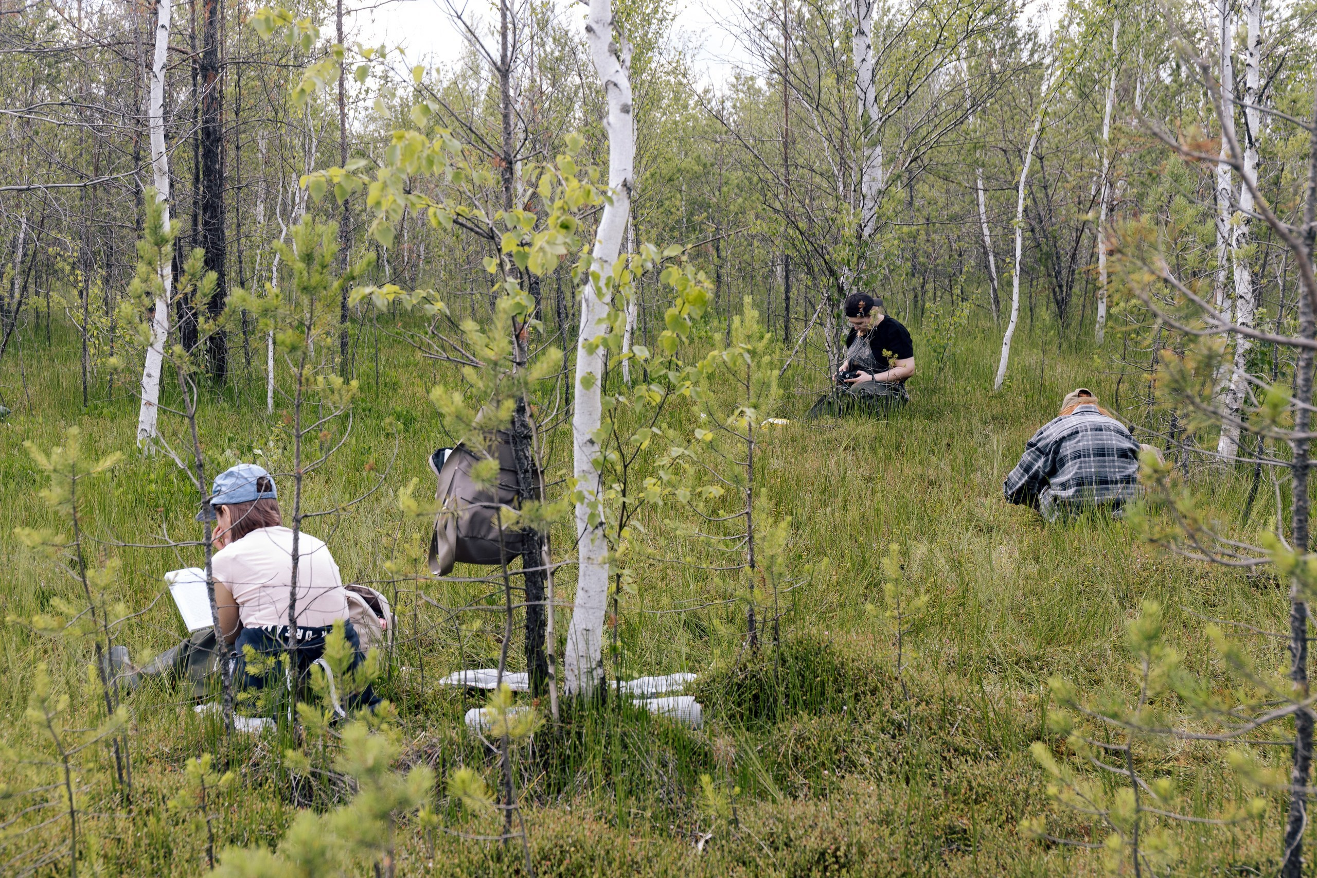 Фотопленэр на болоте. Фотообъединение Самарского областного отделения Союза журналистов России
