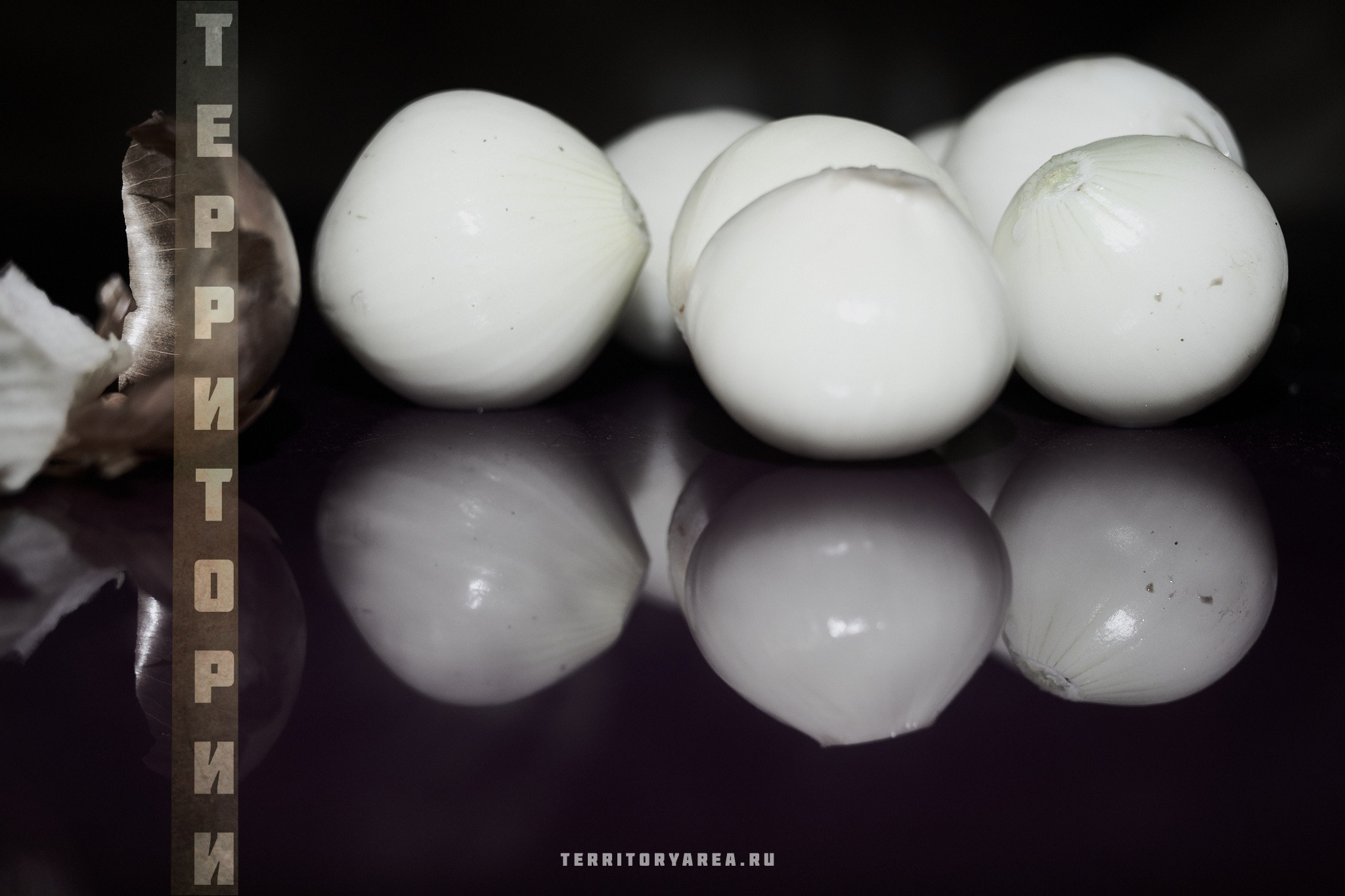 Открытки фотопроекта «Территории». Фотопроект «Территории»