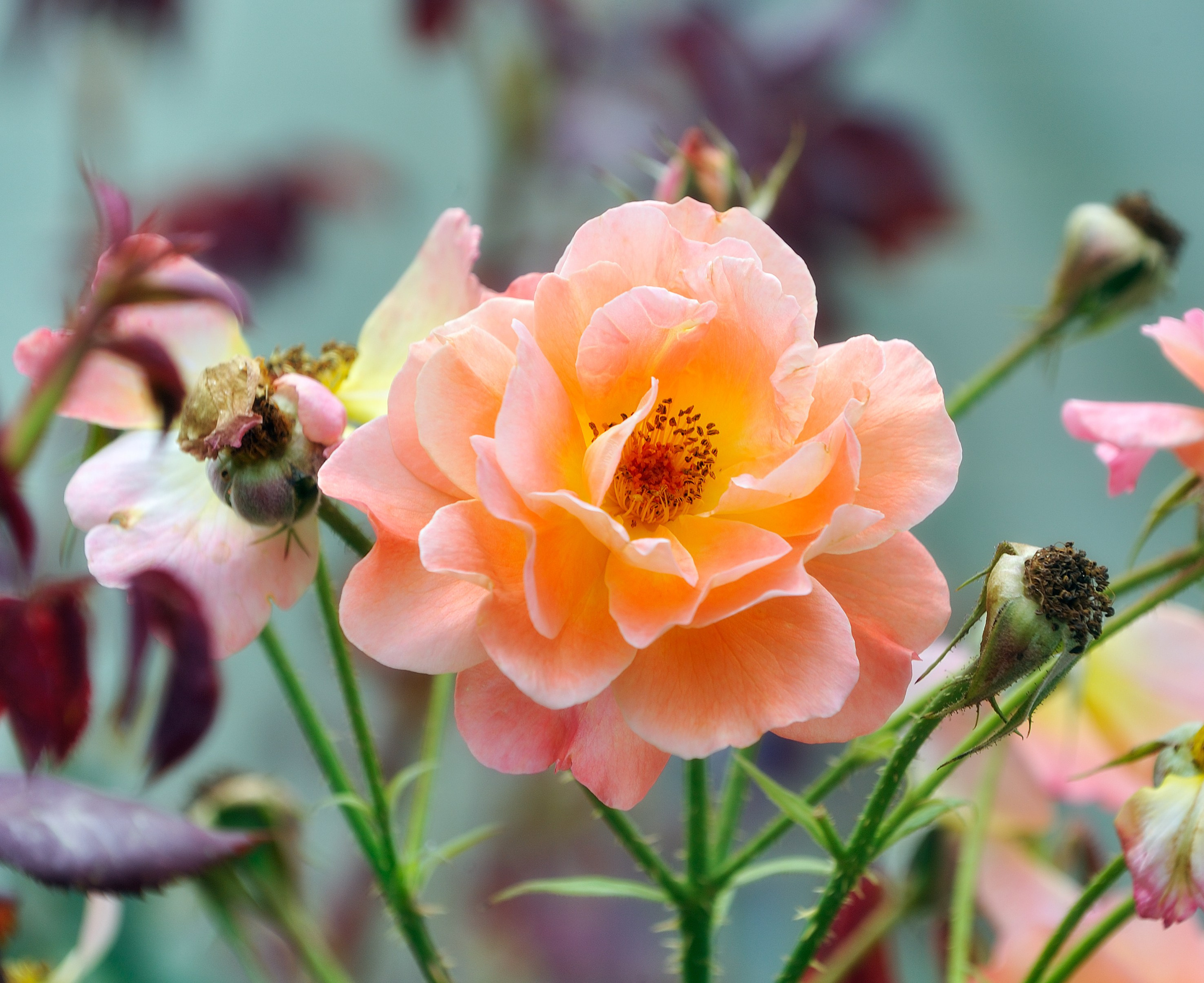 Весна. Пейзажный и предметный фотограф в Санкт-Петербурге Александр Богданов