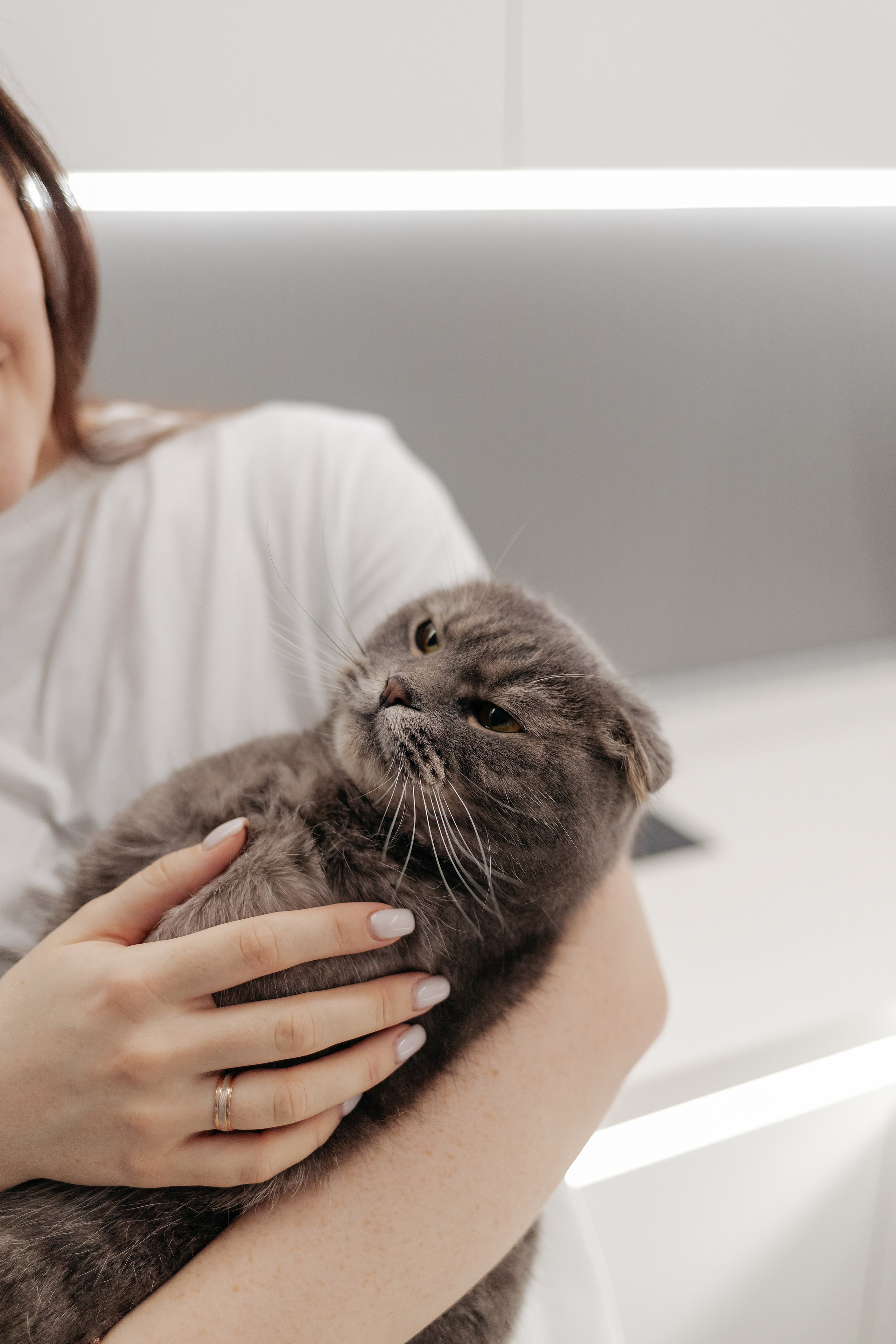 Ксюша, Андрей и Есения. Свадебный фотограф в Пскове и Санкт-Петербурге | Анна Голикова