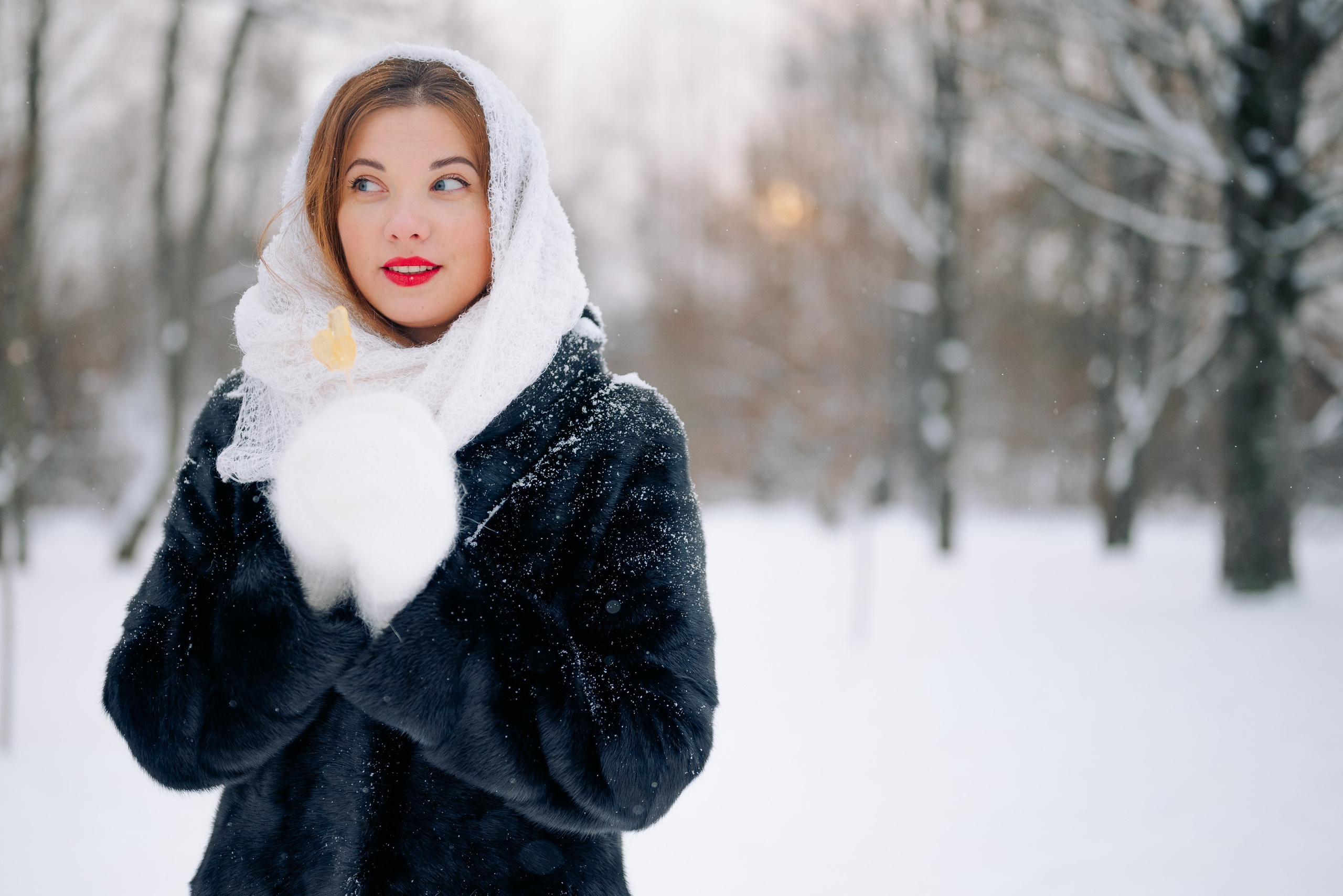 Звенит январская вьюга. Дарья Медведева