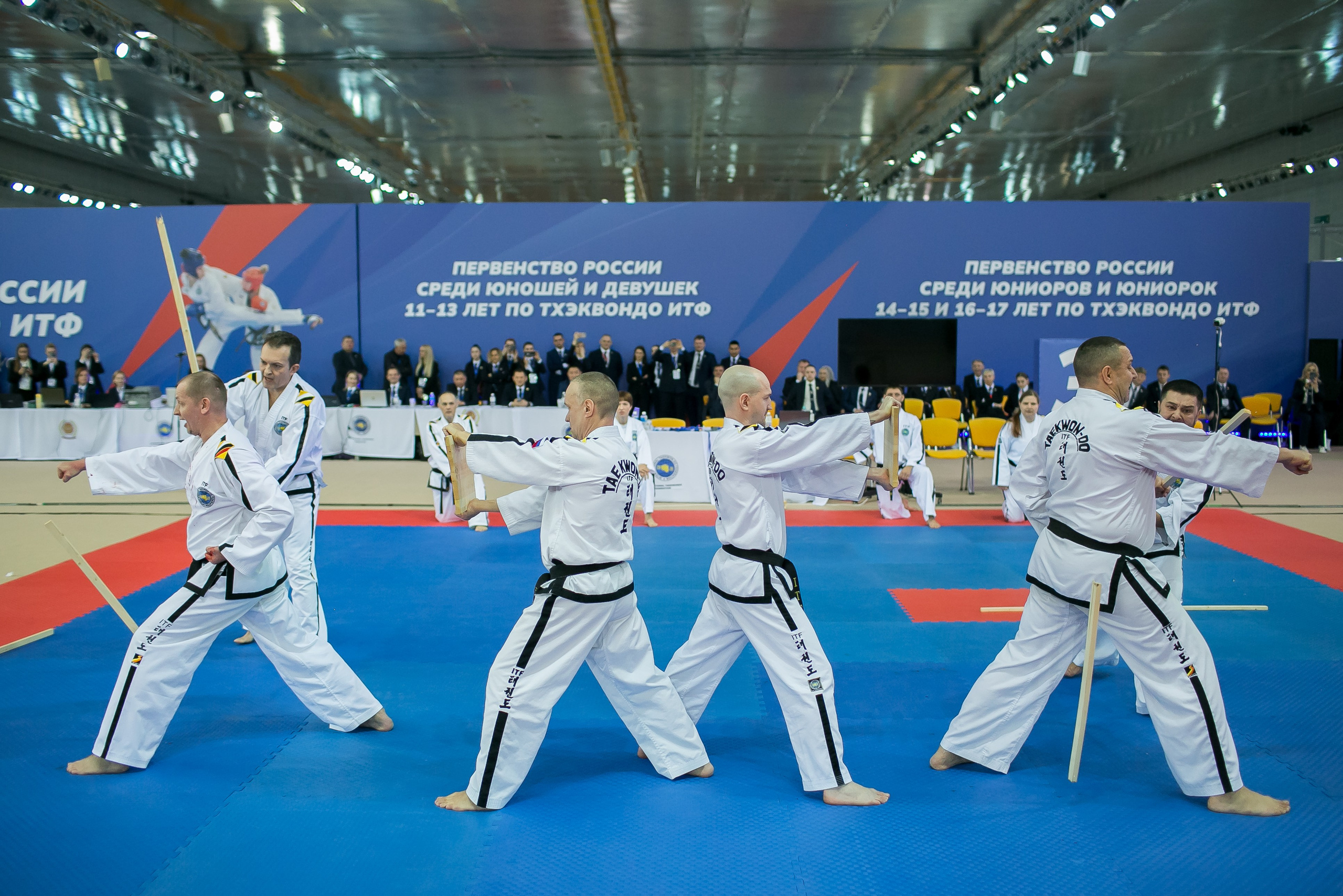 Тхэквондо. Фотограф в Сочи, Краснодаре и Ростове на Дону