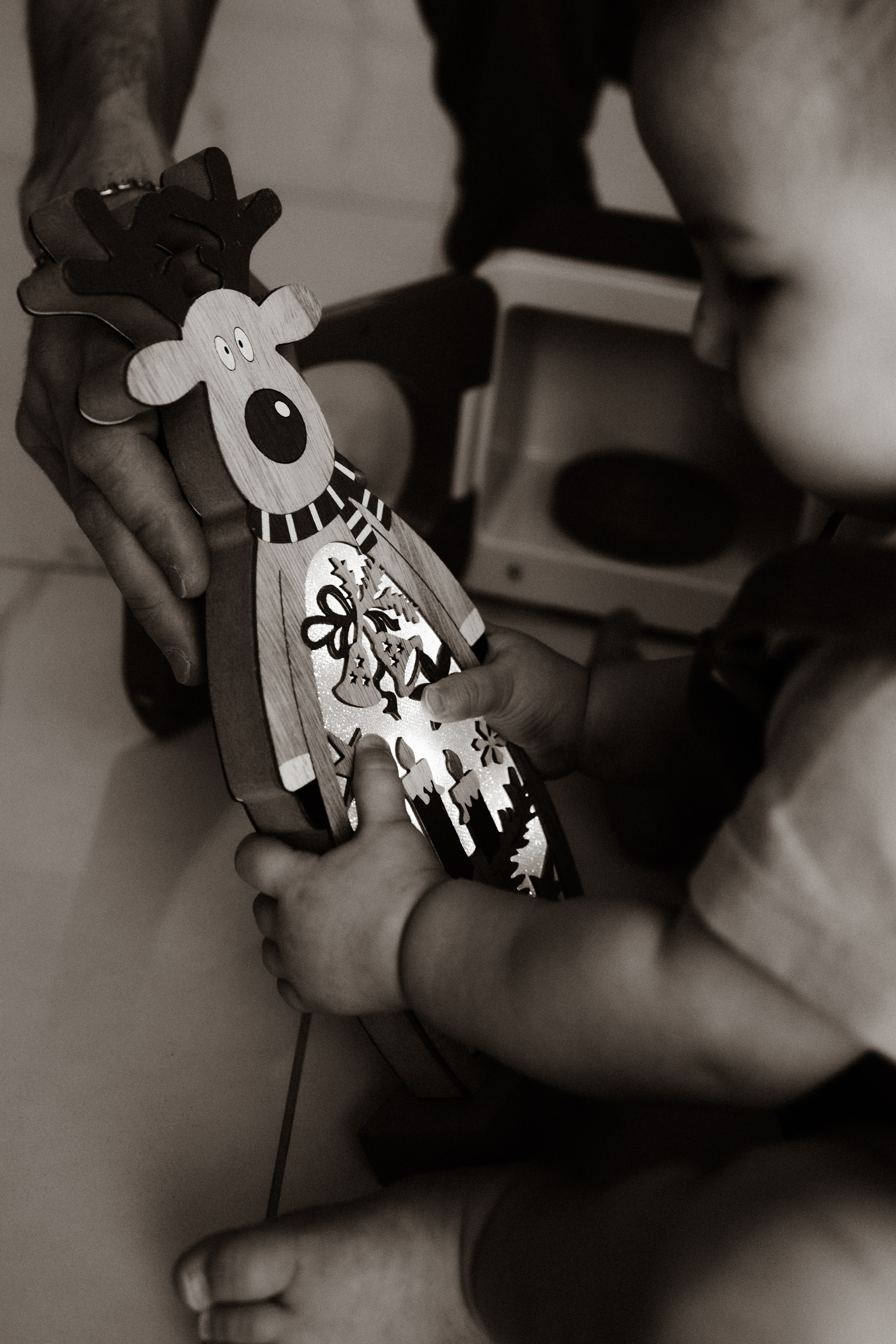 Владимир, Ирина и Алиса