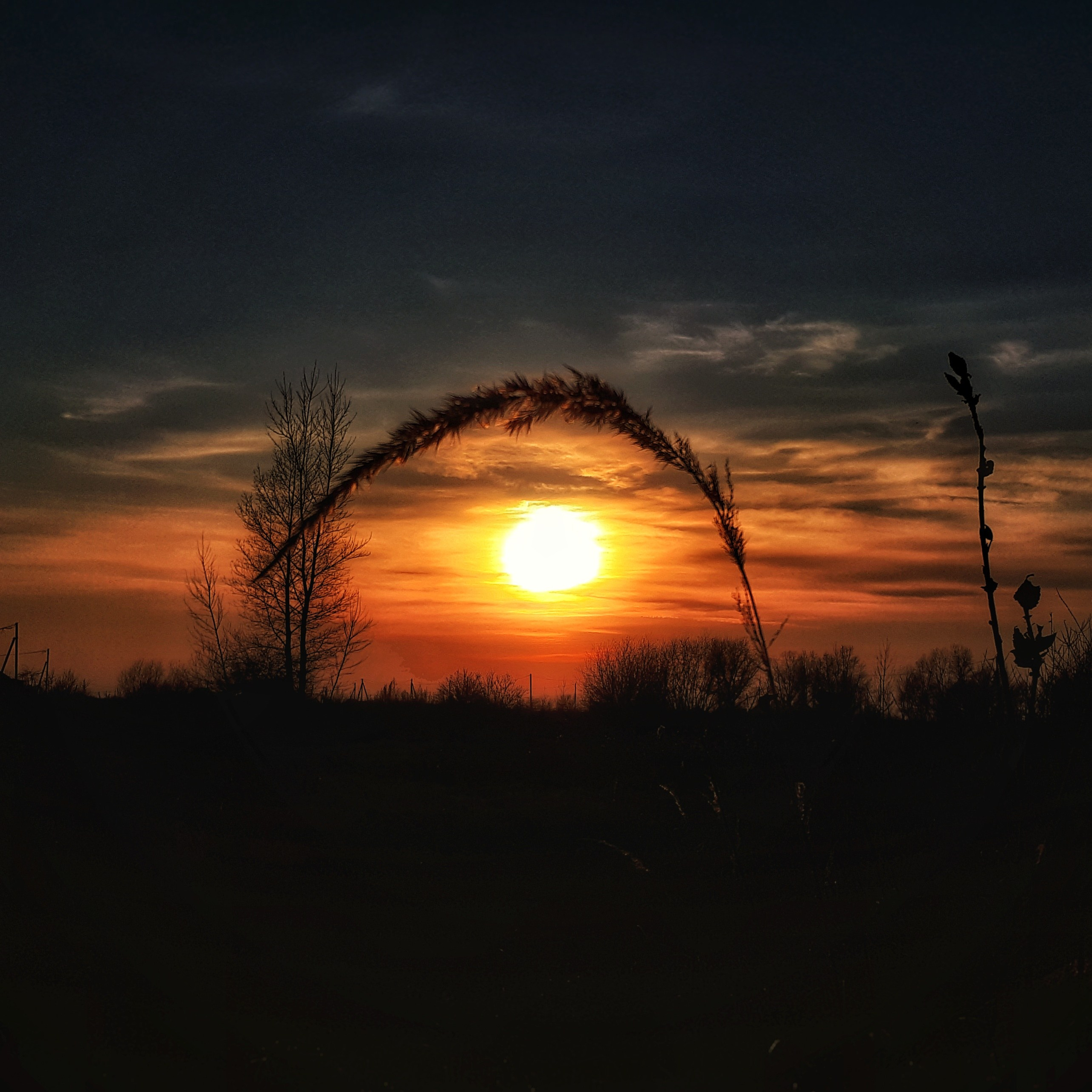 Фото на телефон. Фотошкола и фотокурсы в Абакане