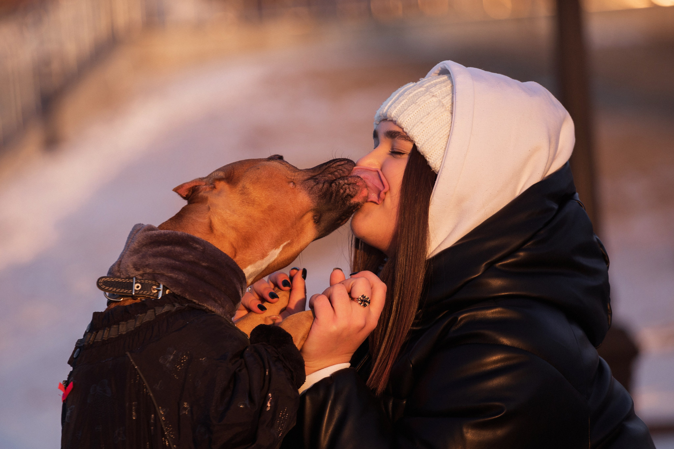 Арина и Стэфи. Фотограф — анималист Владивосток, Алина