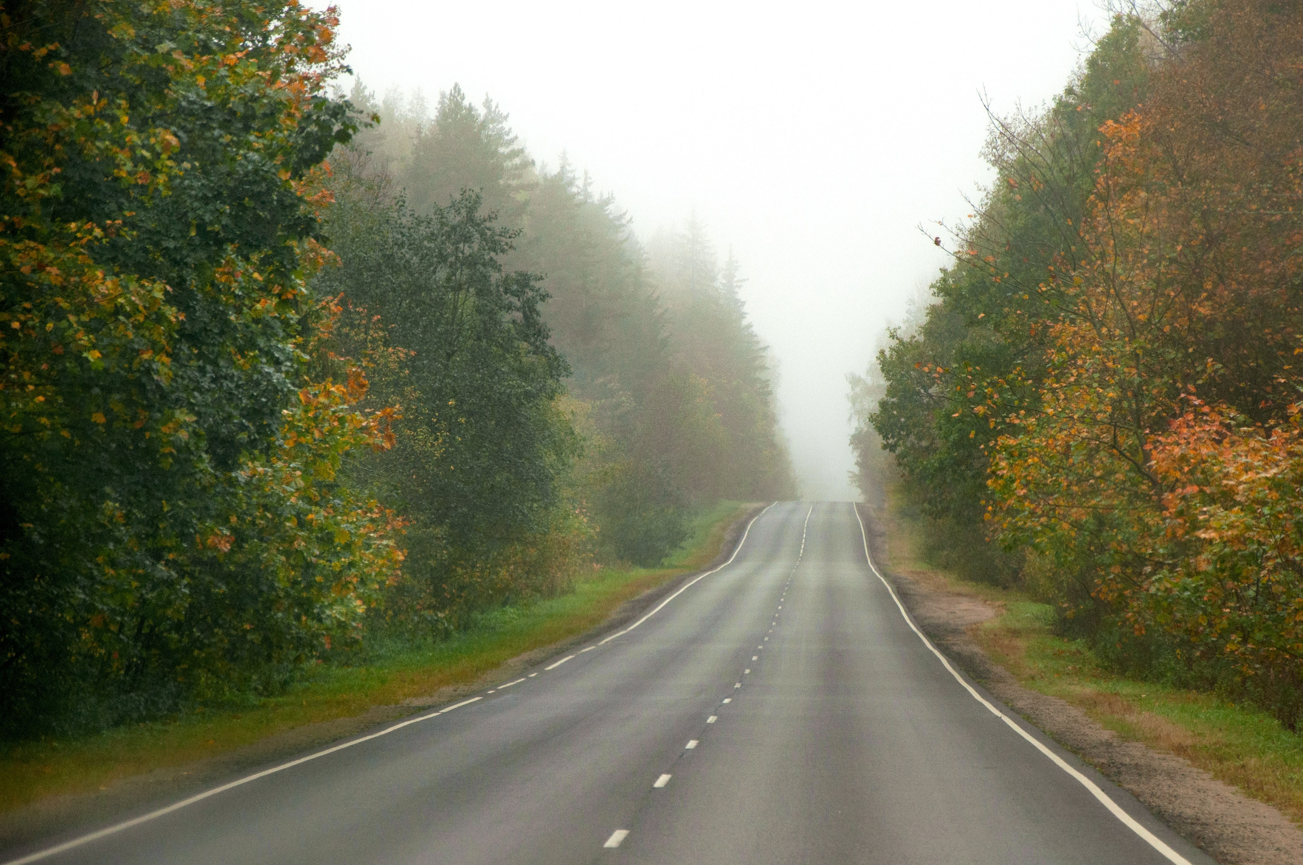 Пейзажи и архитектура. Портретная и репортажная съёмка