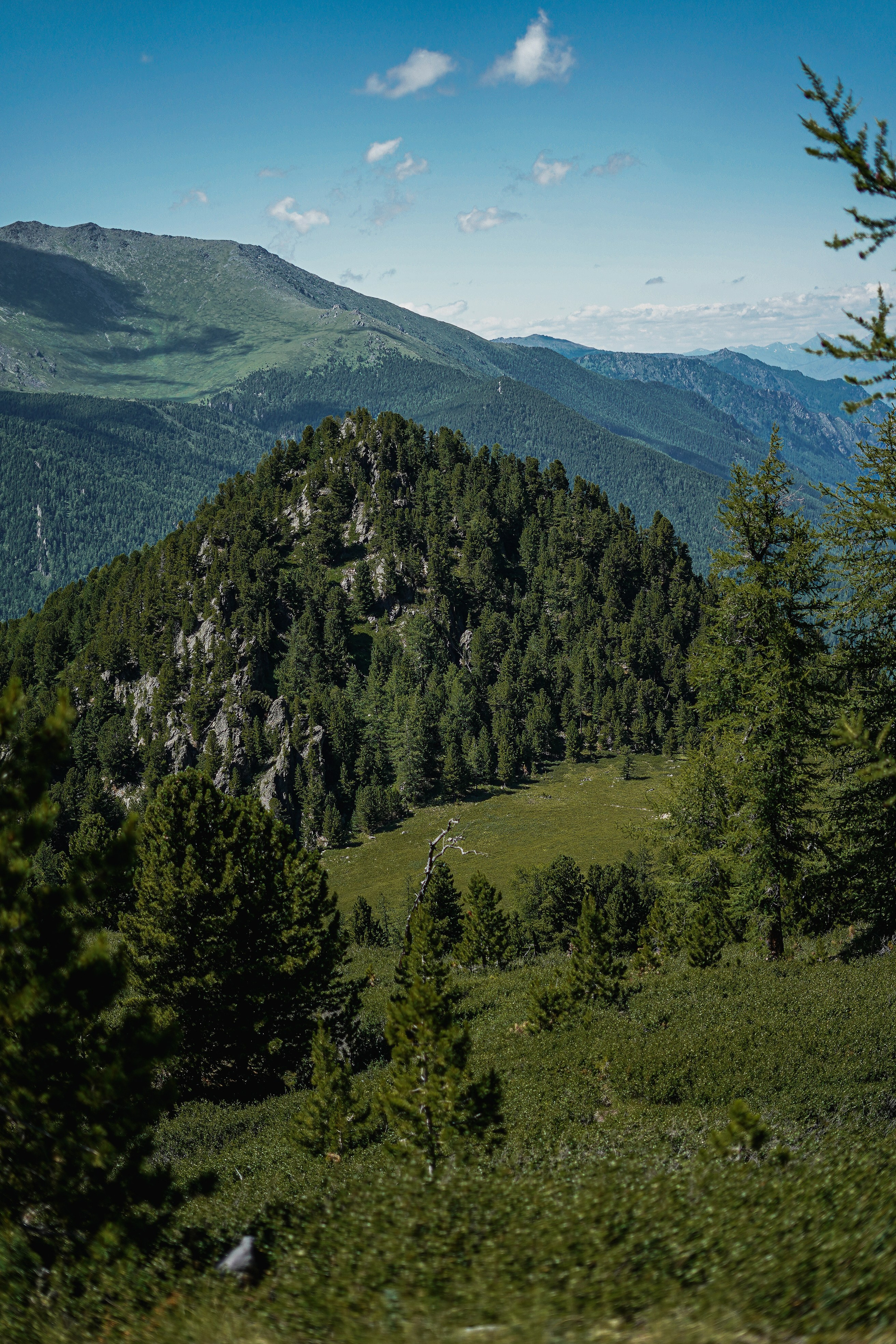 Алтай, поход к Белухе 2023. Фотограф Ольга Пучкова