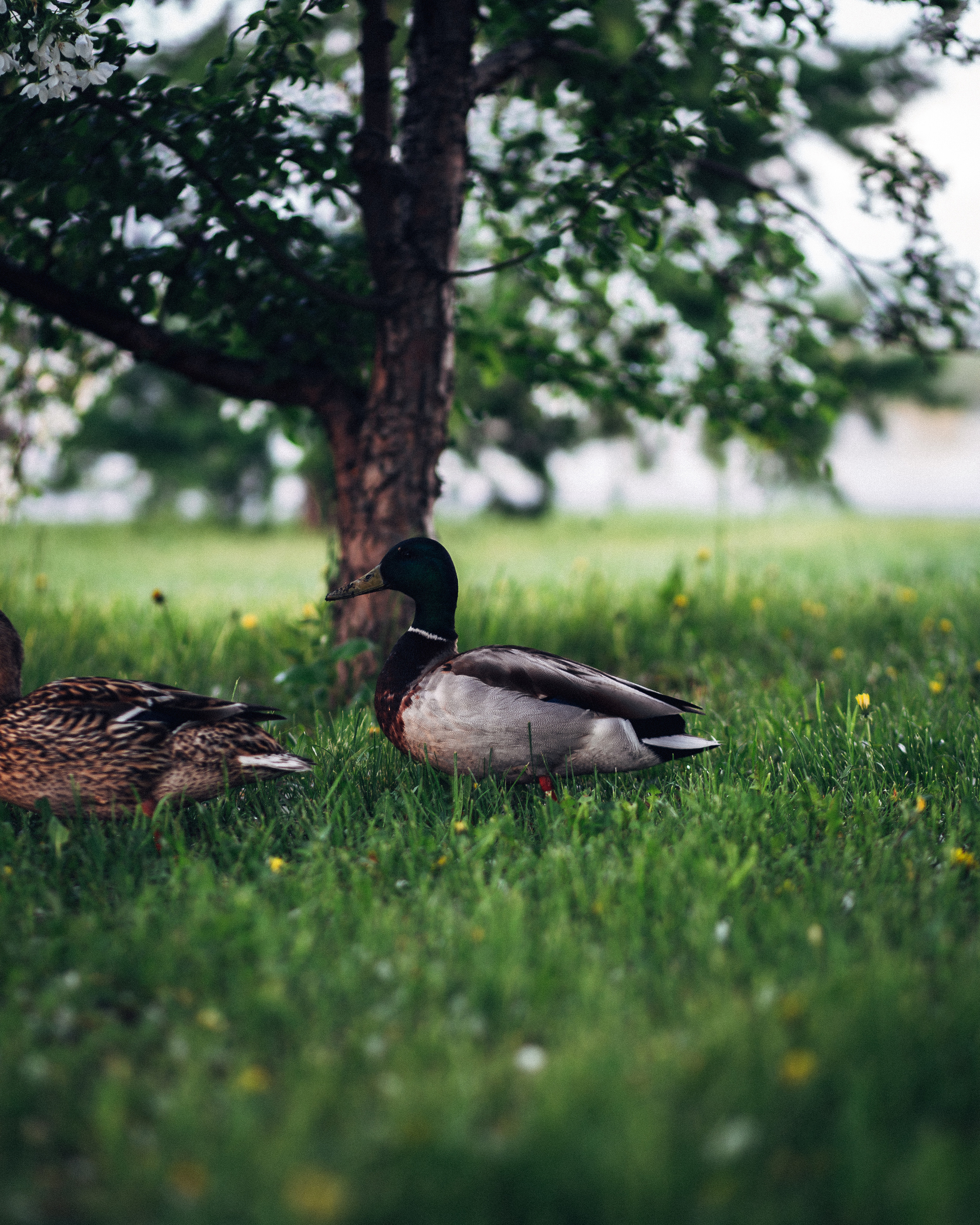Городской пейзаж | Стрит. Репортажный фотограф Красноярск Алекс Чампакхам